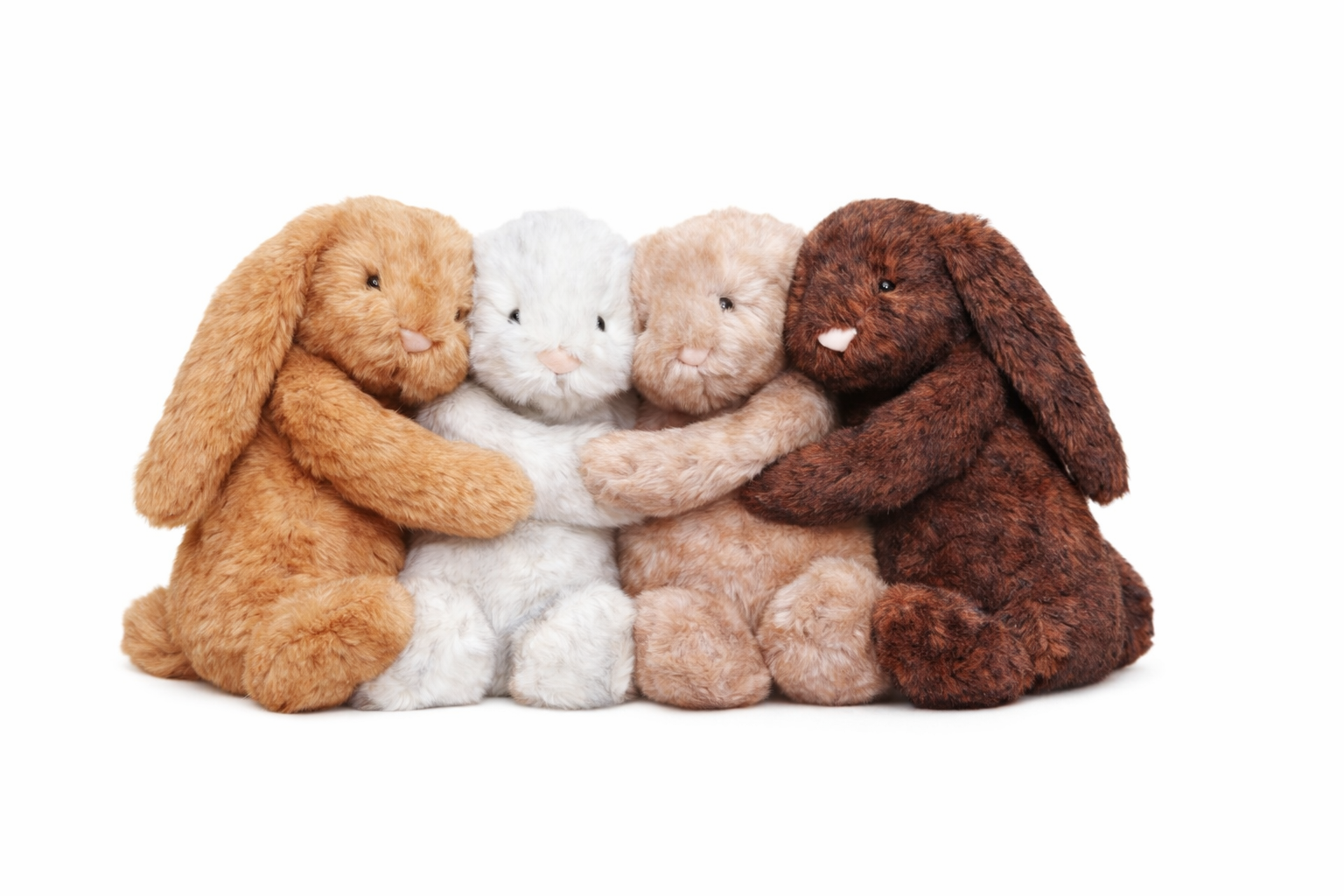 Special Edition Bunnies