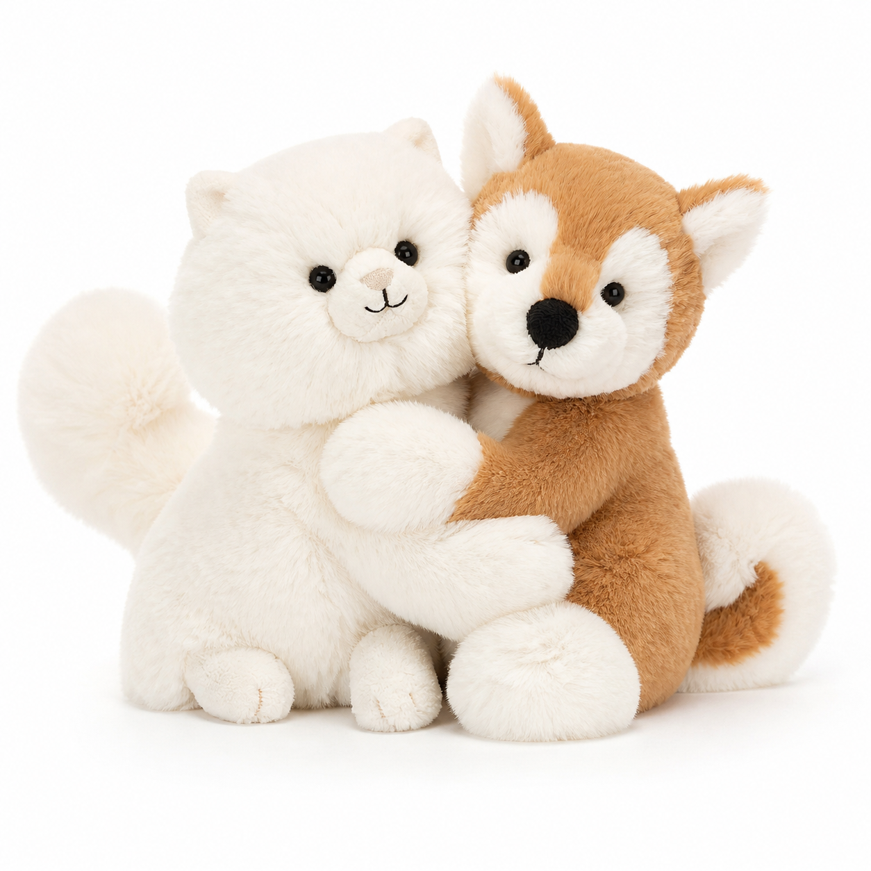 Cats | Dogs