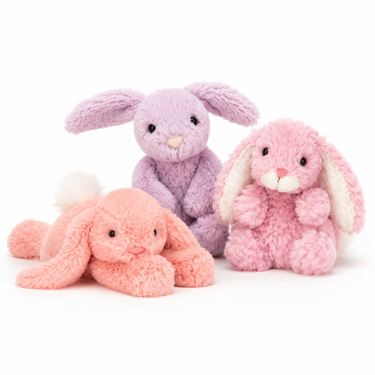 Bunnies | Other