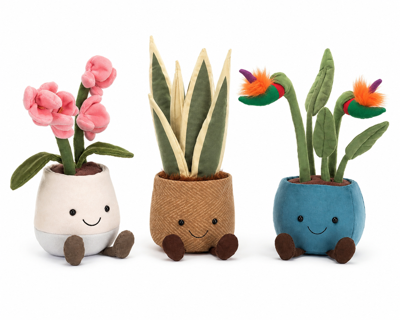 Plants