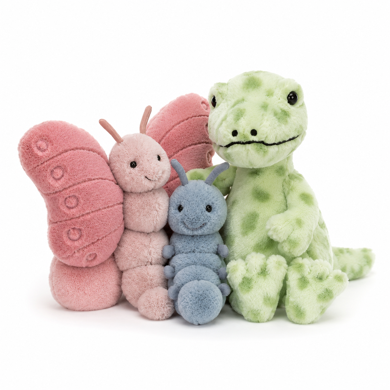 Insects | Lizards