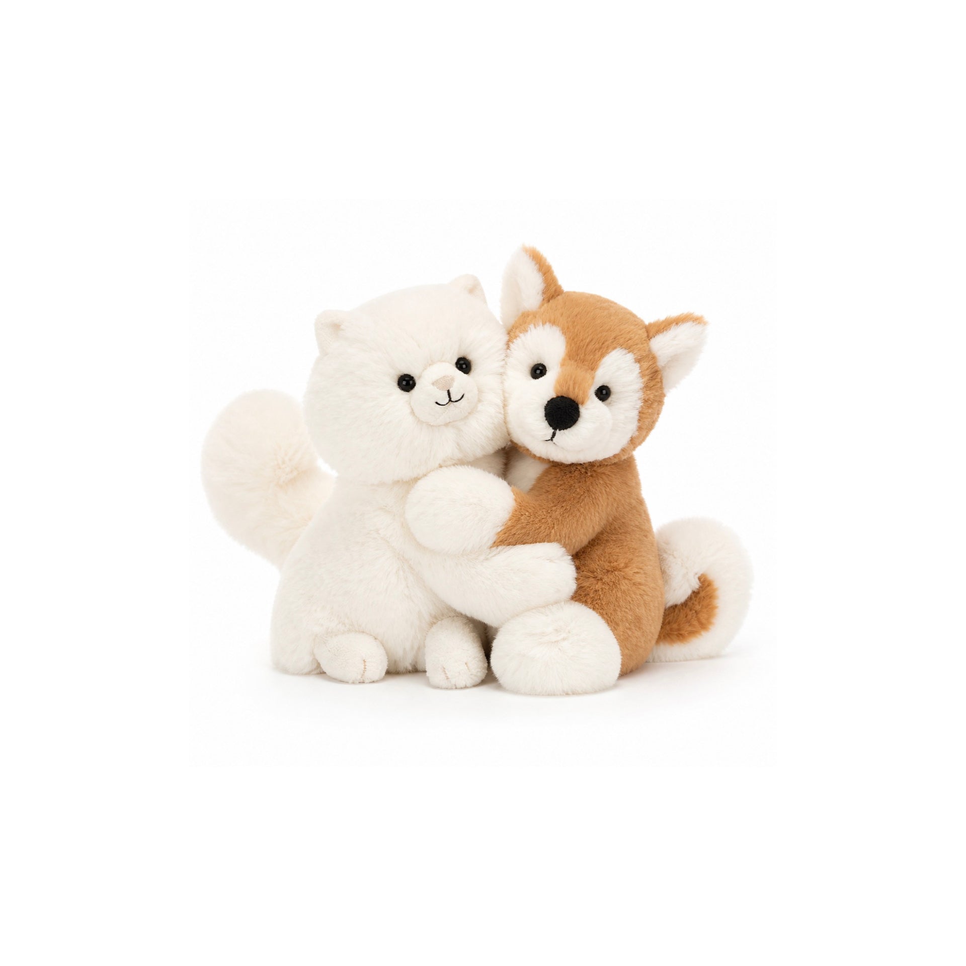 Cats | Dogs