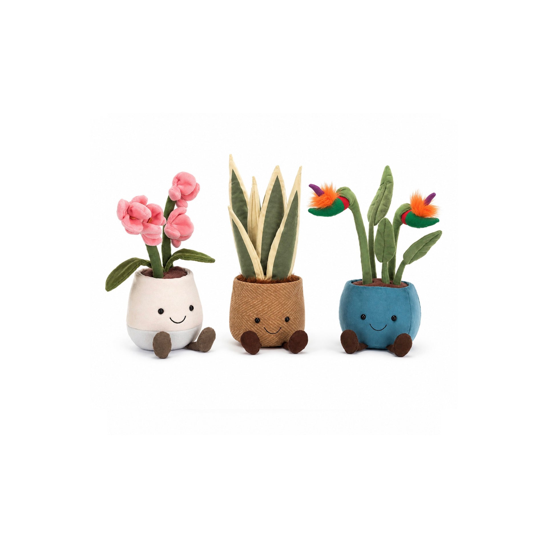 Plants