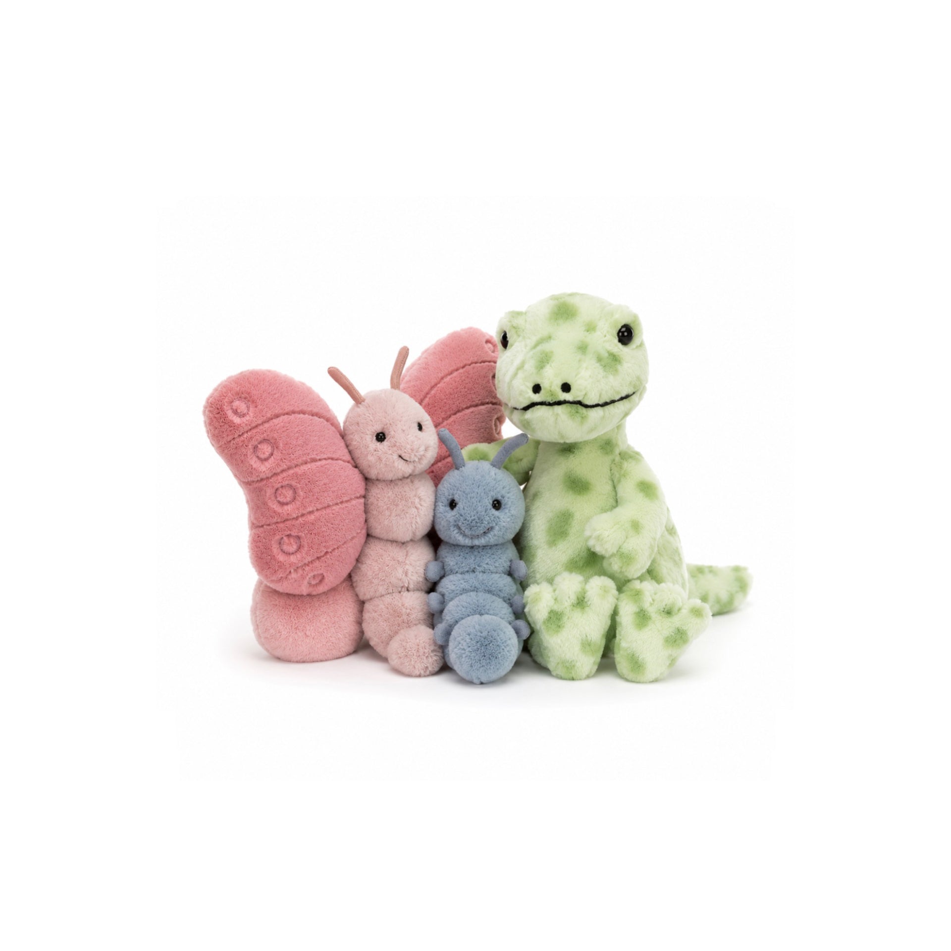 Insects | Reptiles