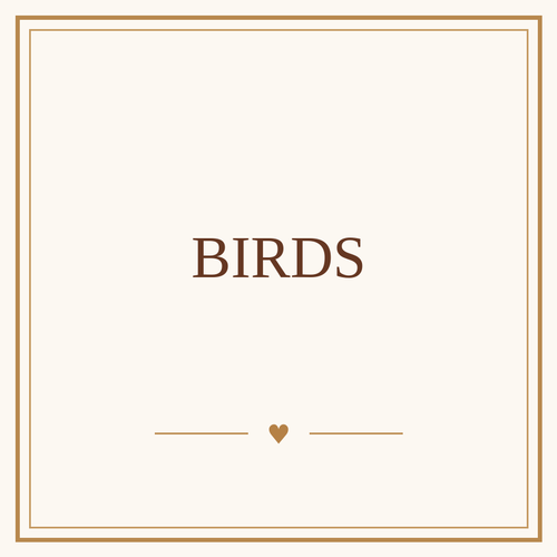 Birds