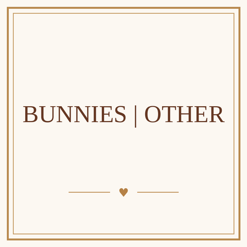 Bunnies | Other