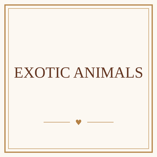 Exotic Animals