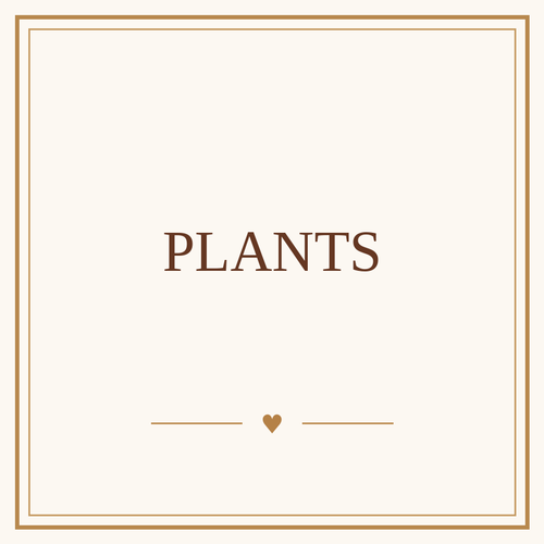 Plants