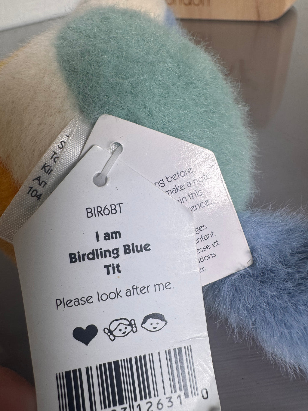 Birdling Blue Tit