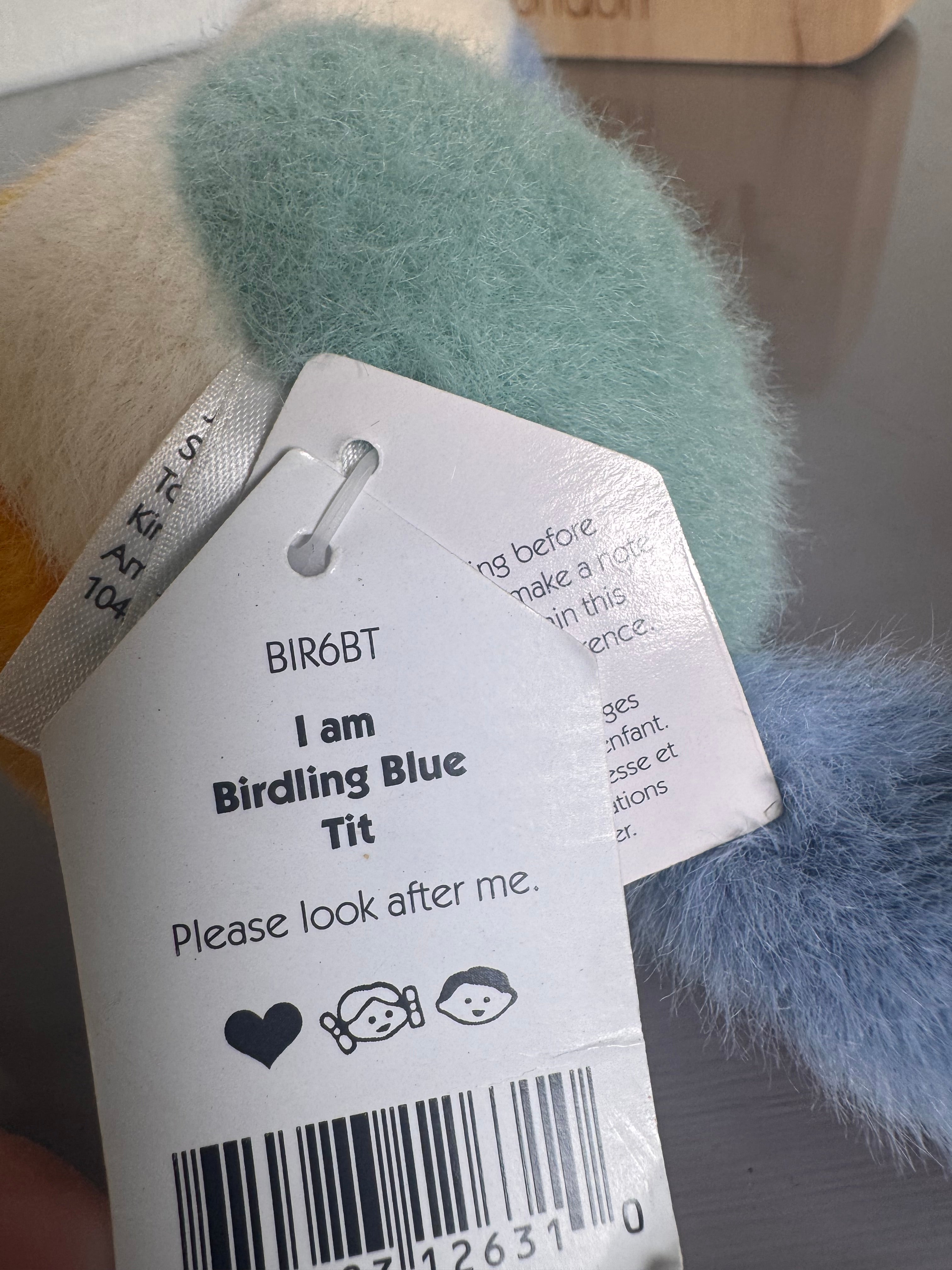 Birdling Blue Tit