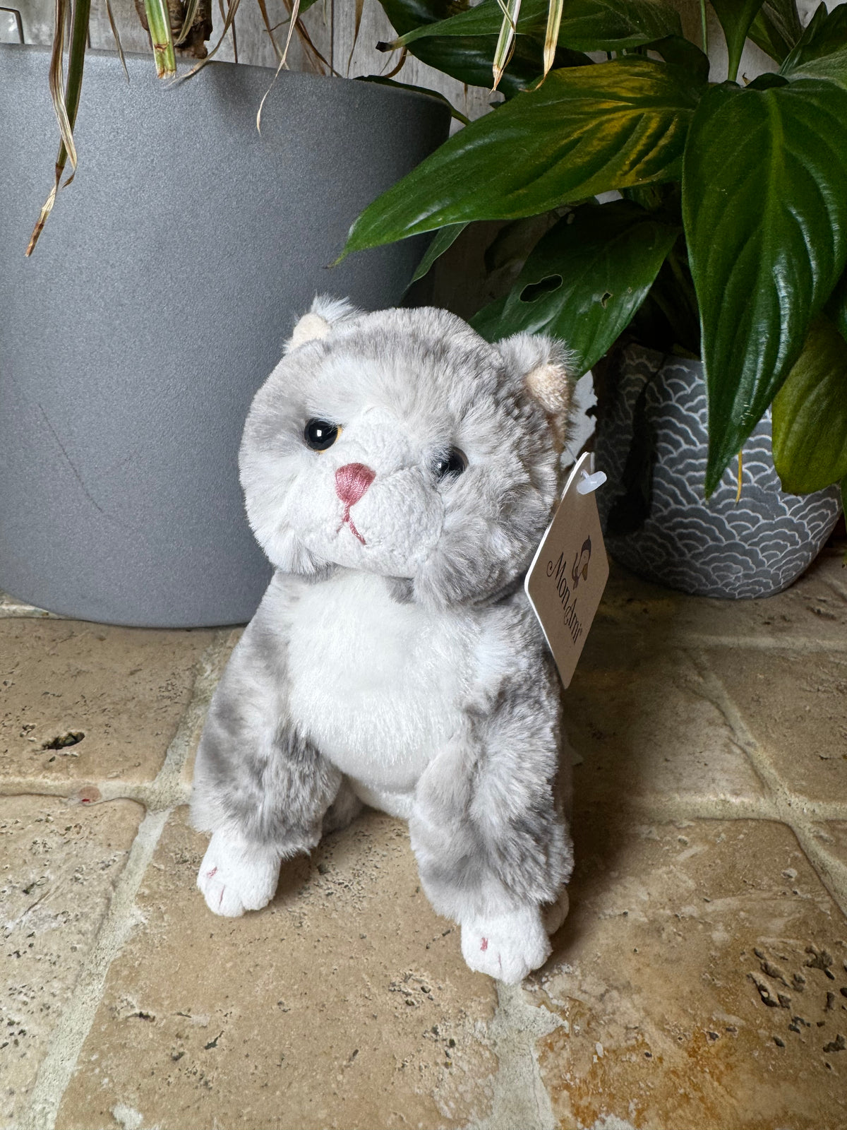 Mon Ami | Cassie Kitty