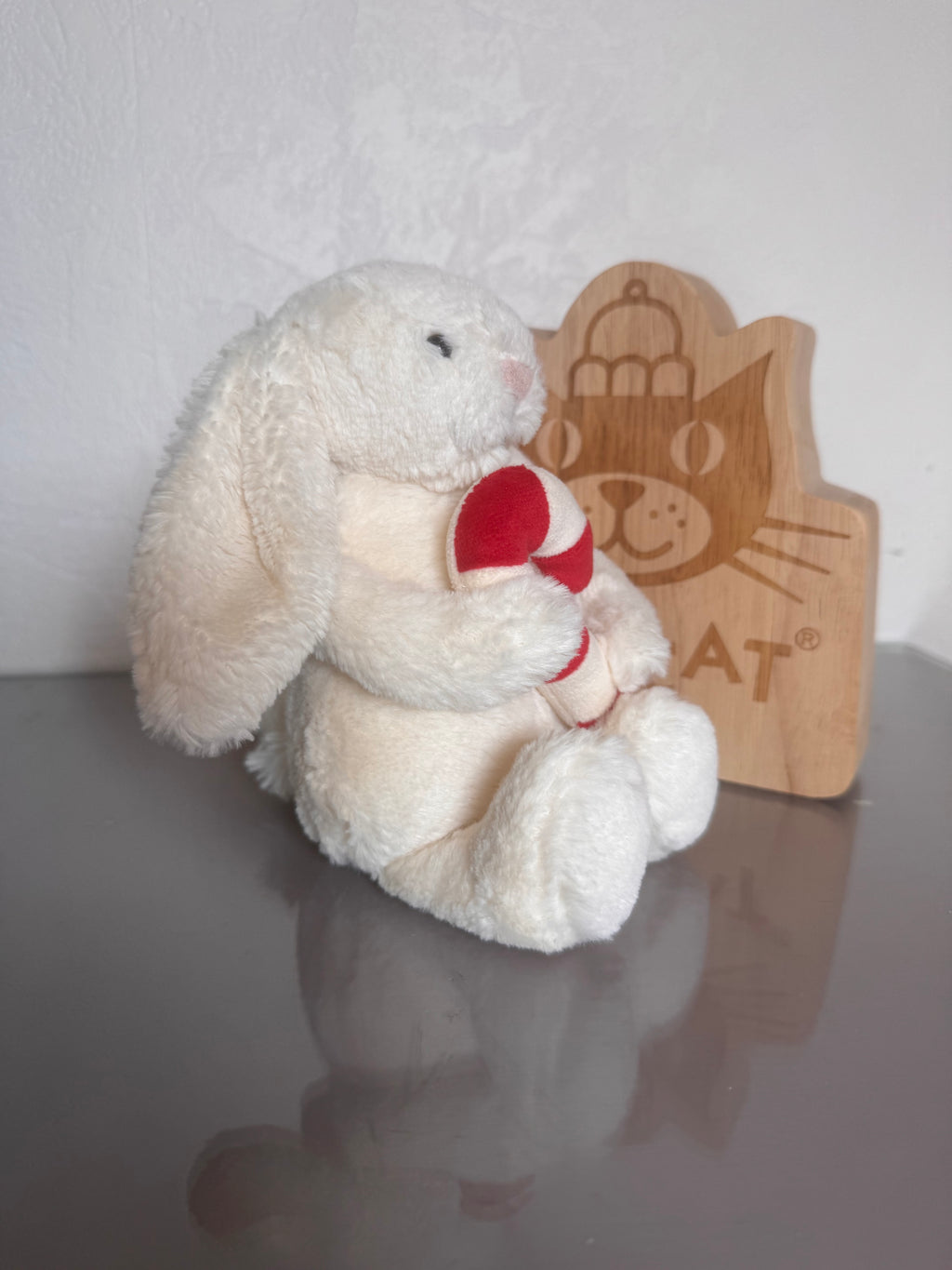 Bunny Holding A Candy Cane