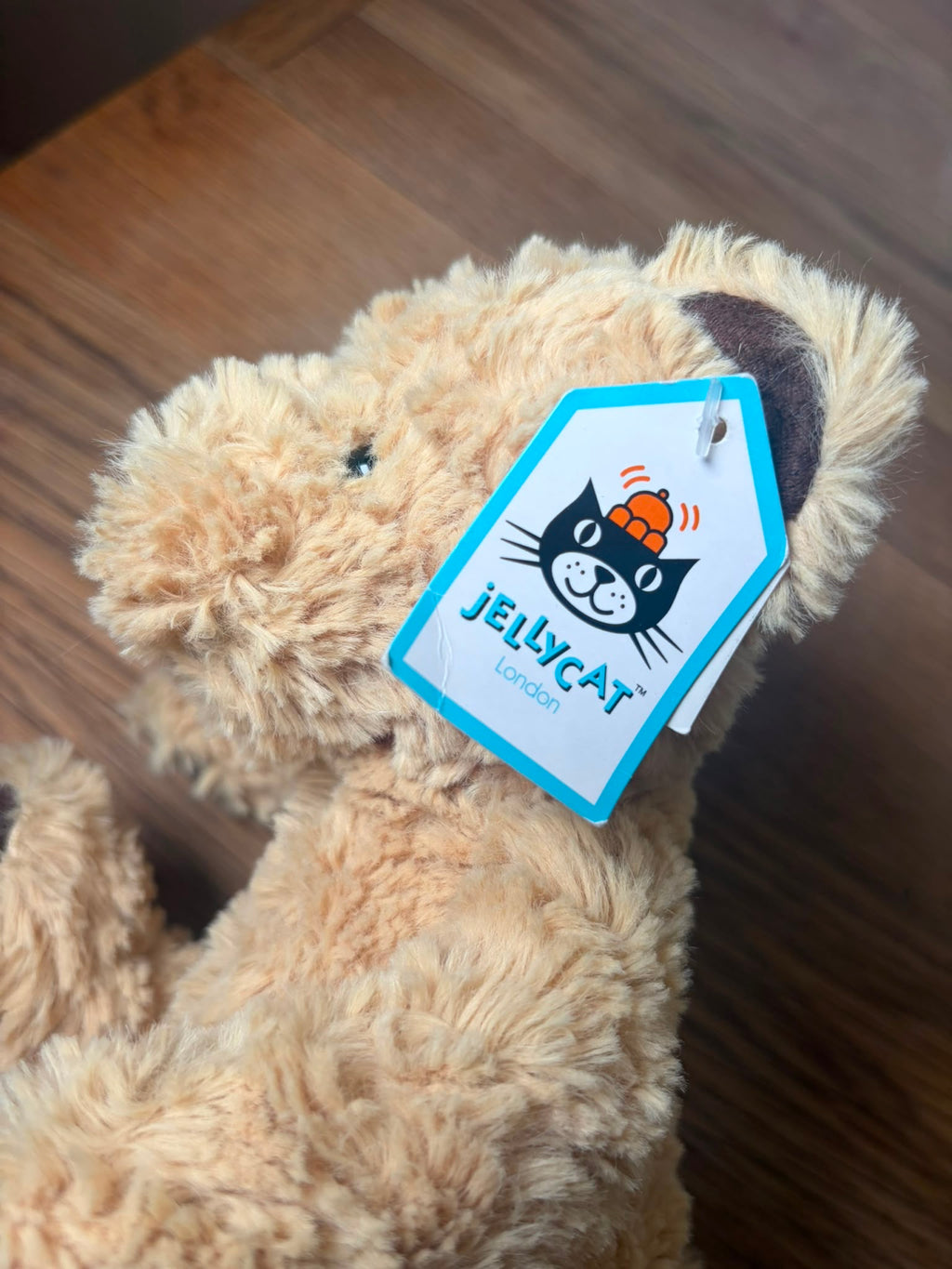 Jellycat Edward Bear - Small