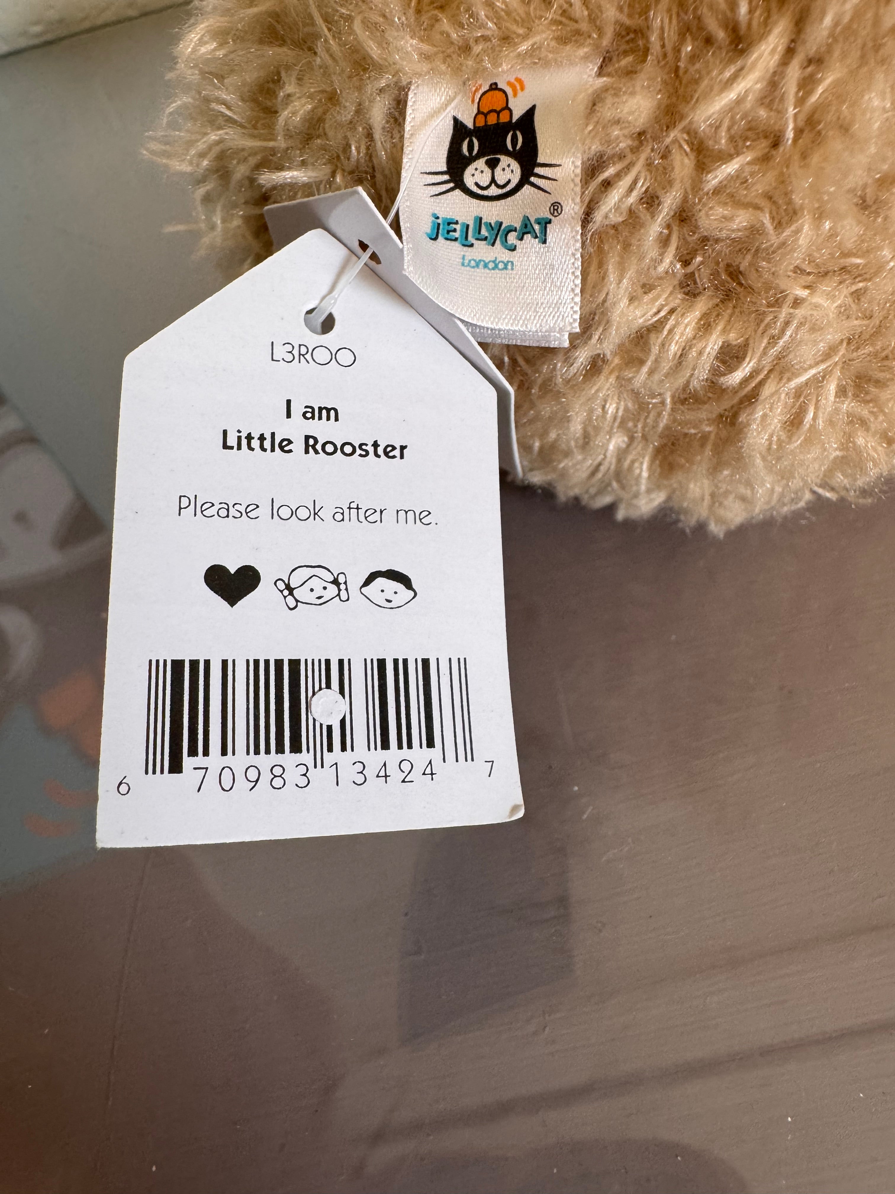 Little Rooster