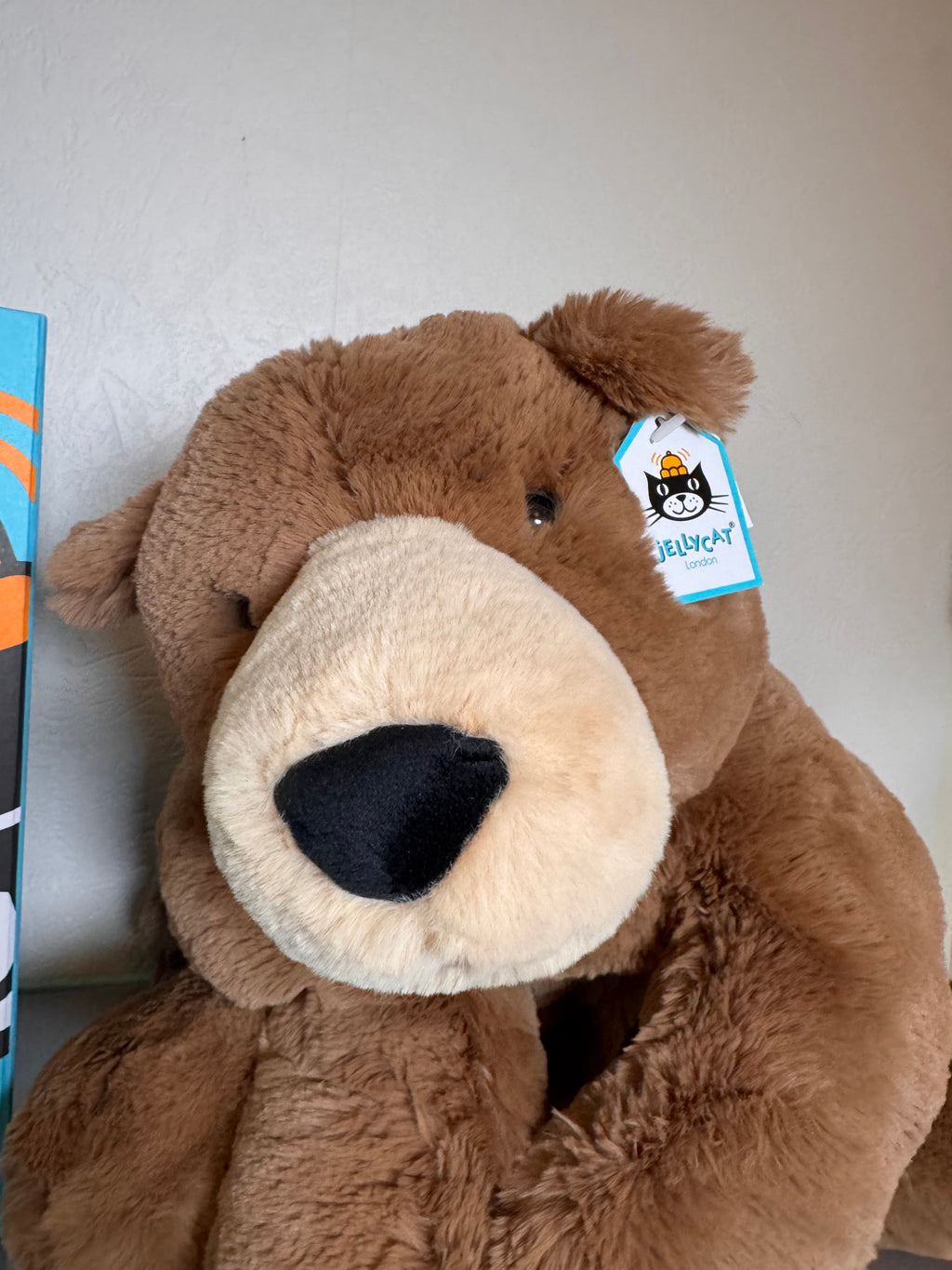 Lying Woody Bear