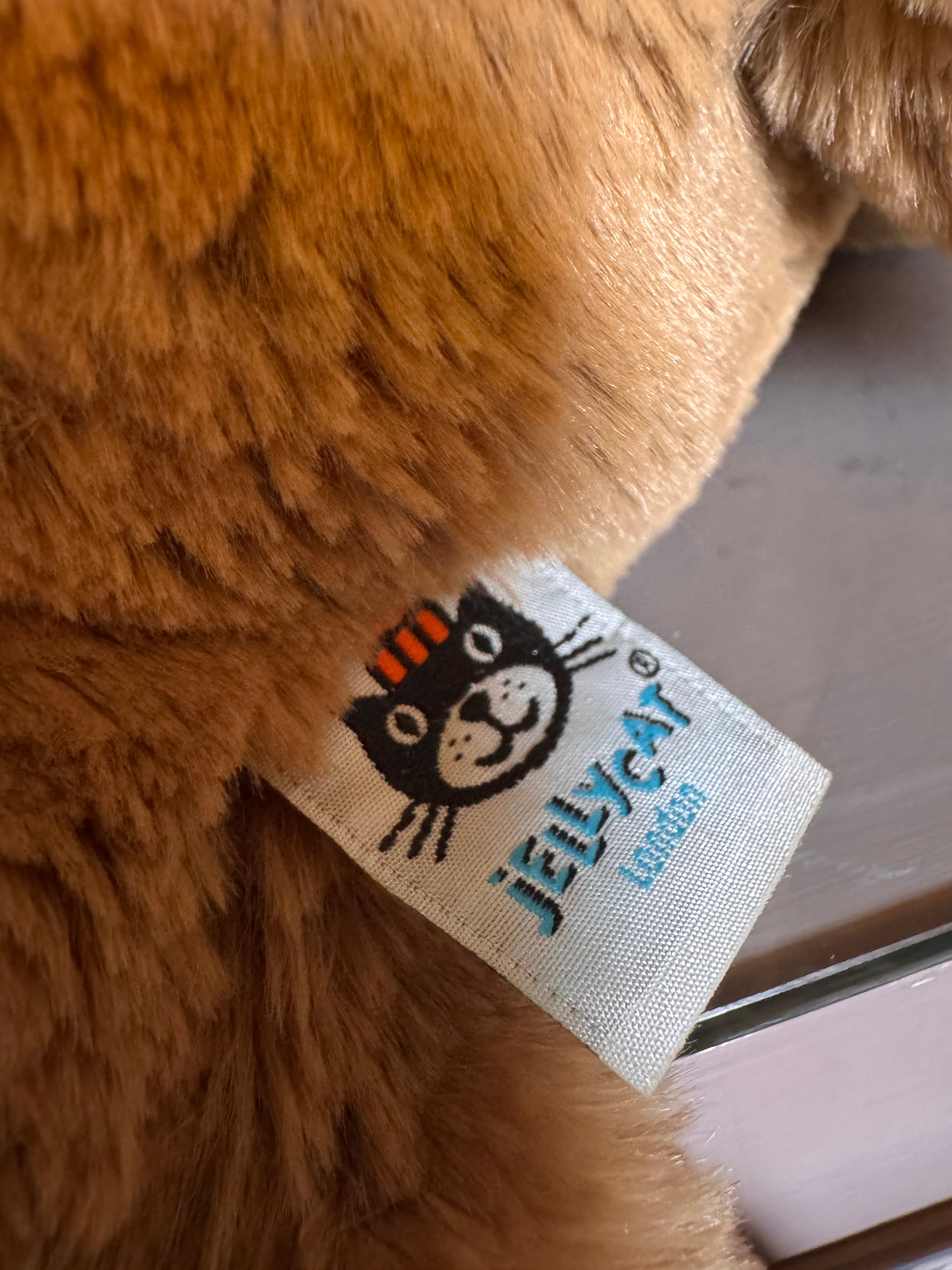 Lying Woody Bear
