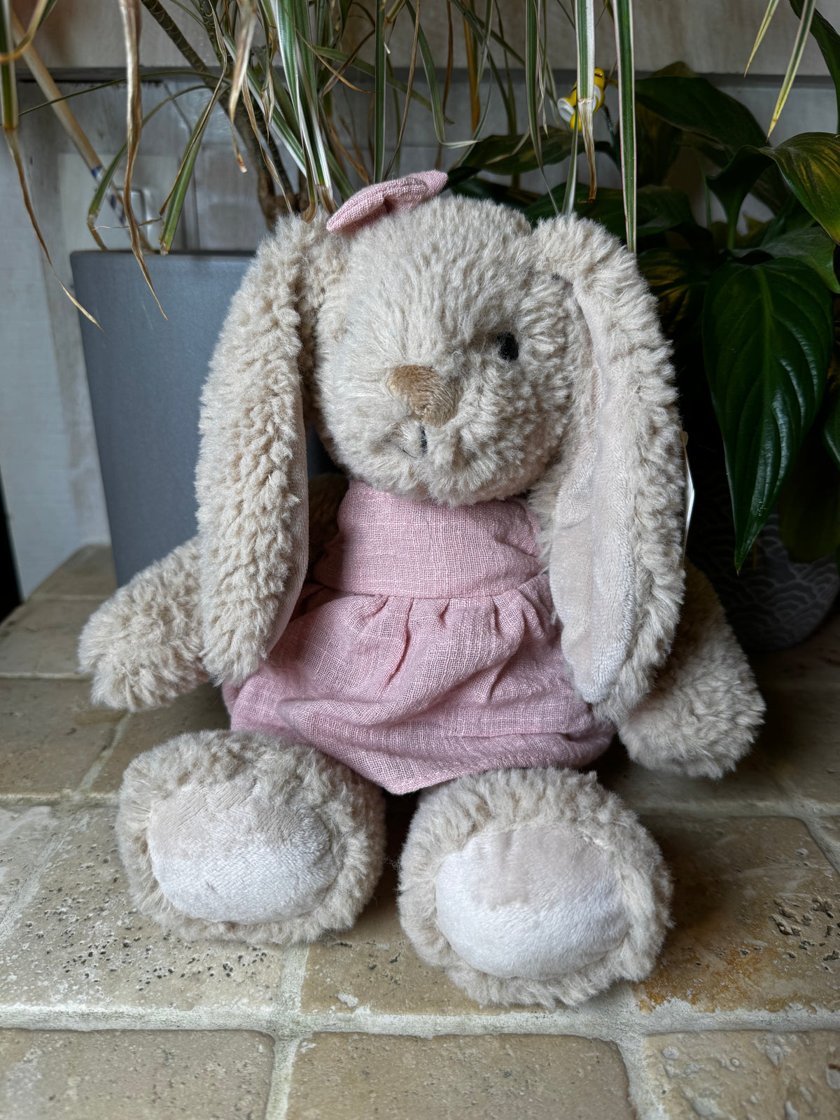 Mon Ami | Bettie Bunny