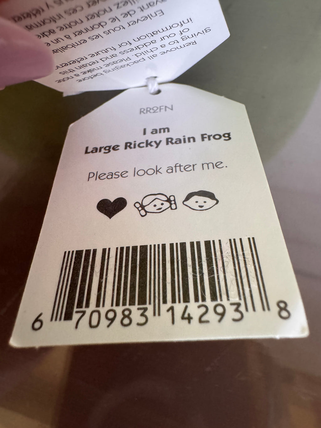 Large Ricky Rain Frog