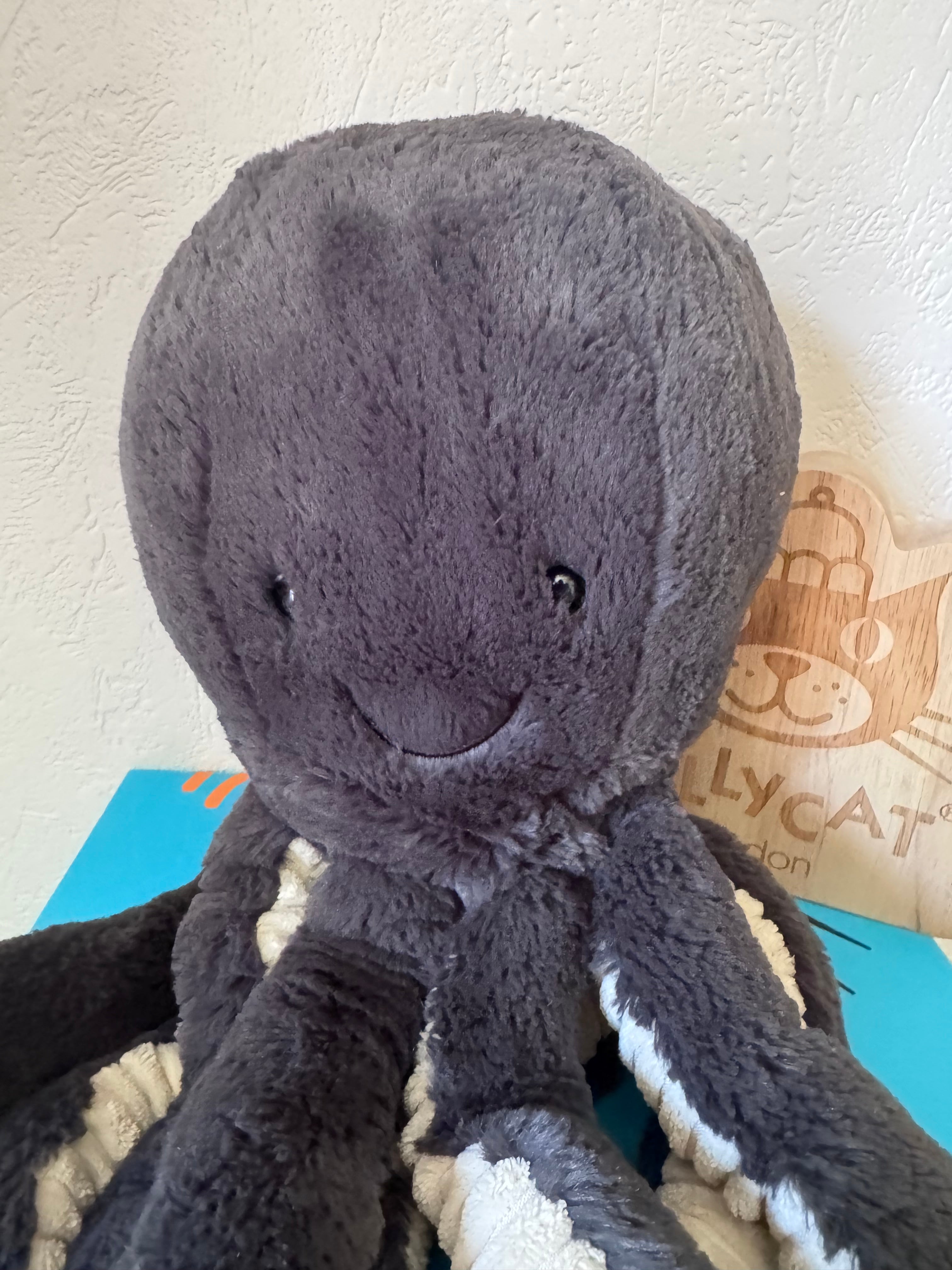 Inky Octopus