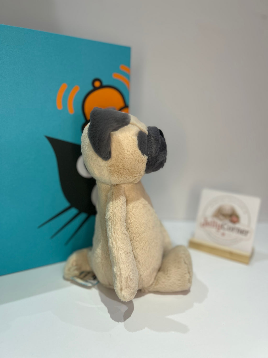 Medium Bashful Pug