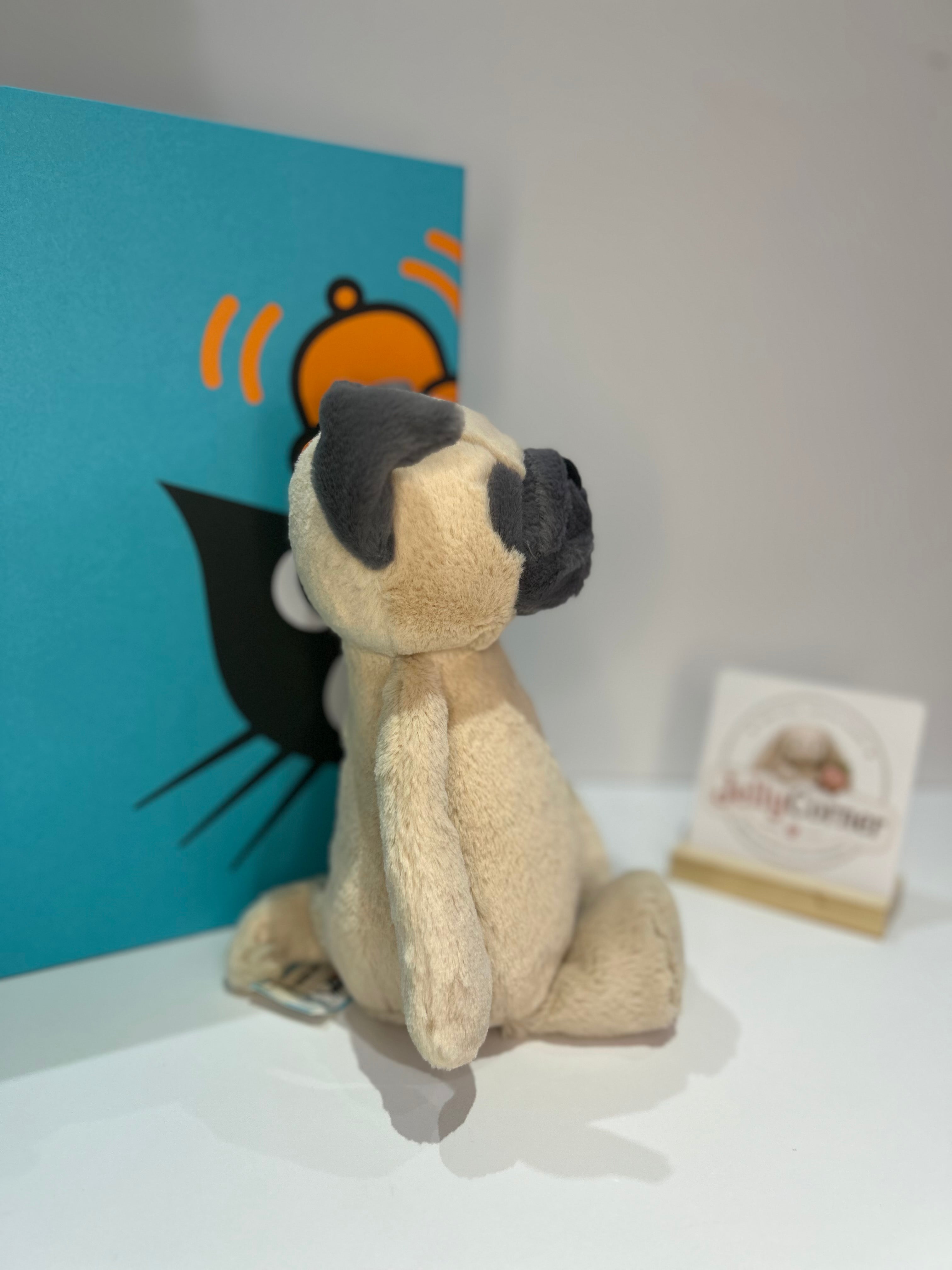 Medium Bashful Pug
