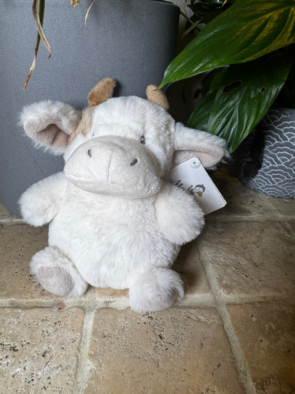Mon Ami | Mocha Petit Cow
