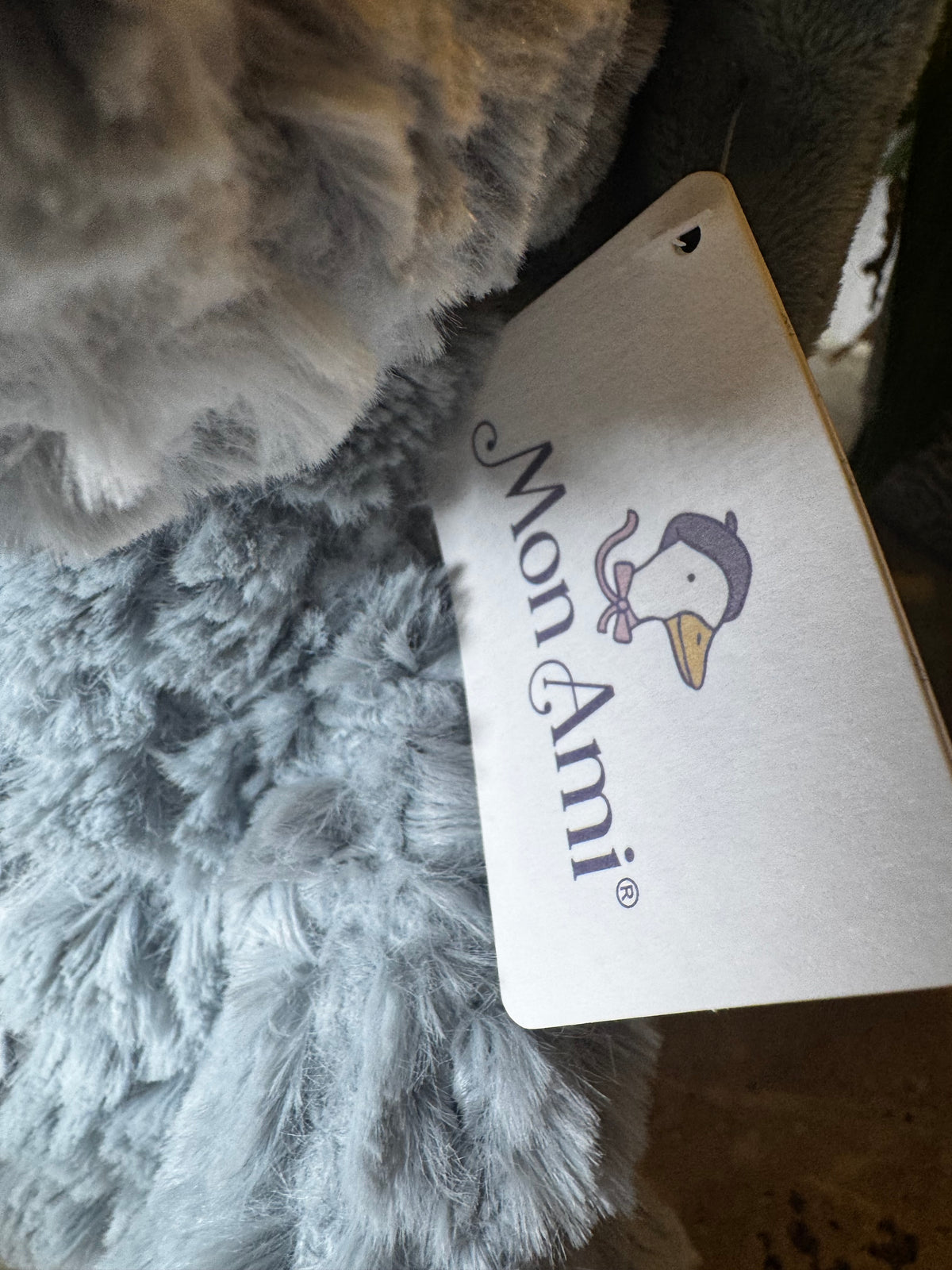 Mon Ami | Bashful Dino