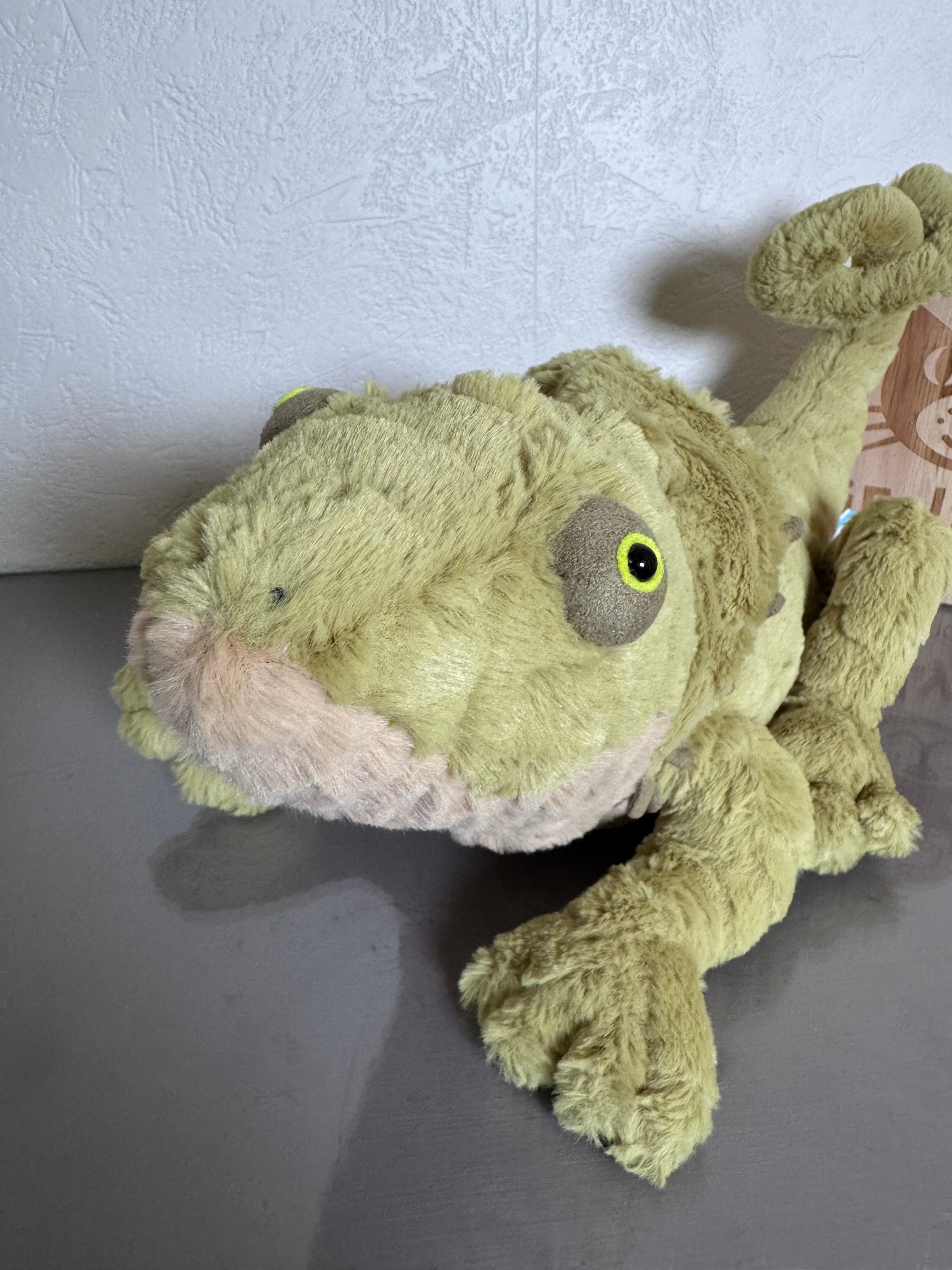 Logan Lizard