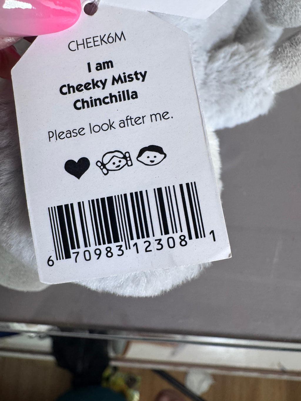 Cheeky Misty Chinchilla