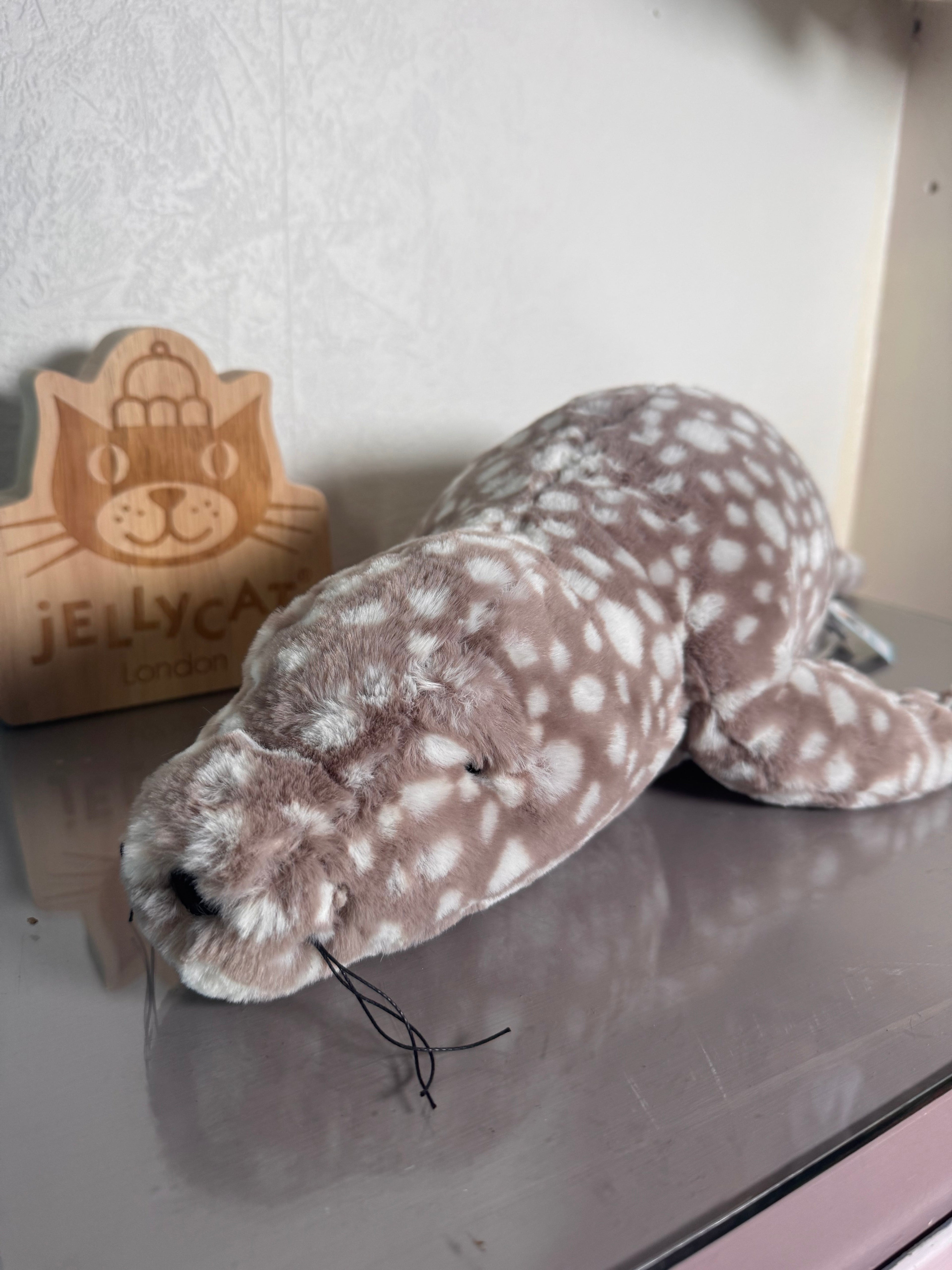 Linus leopard Seal