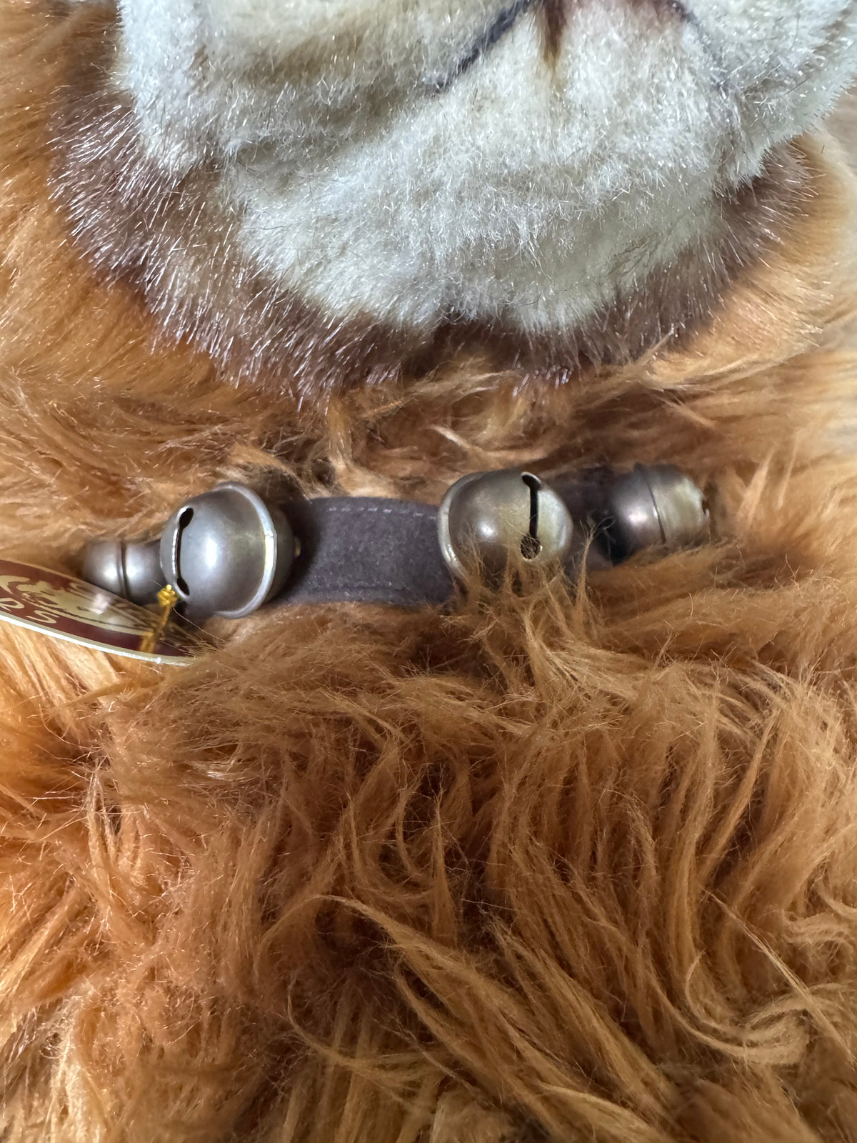 Charlie Bears | Kojak CB094087