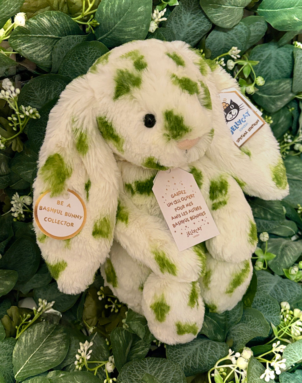 JellycatDreams Custom Olive Bunny