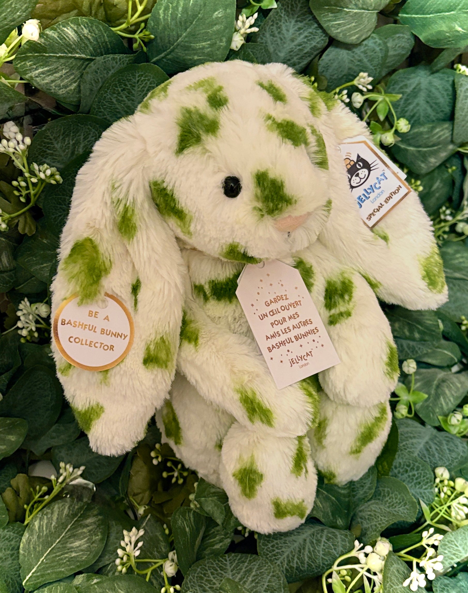 JellycatDreams Custom Olive Bunny