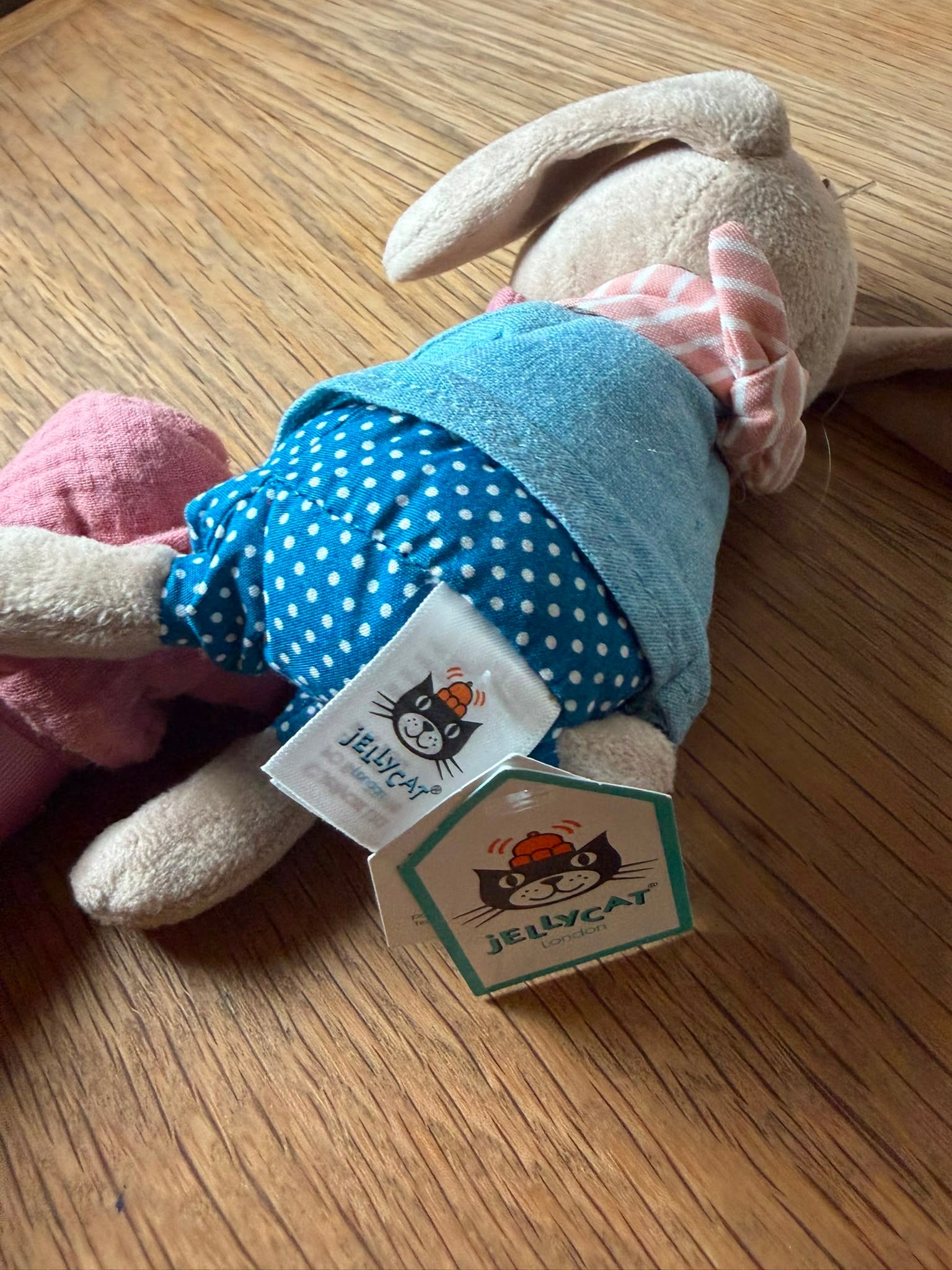 Jellycat Riverside Rambler Bunny Soother