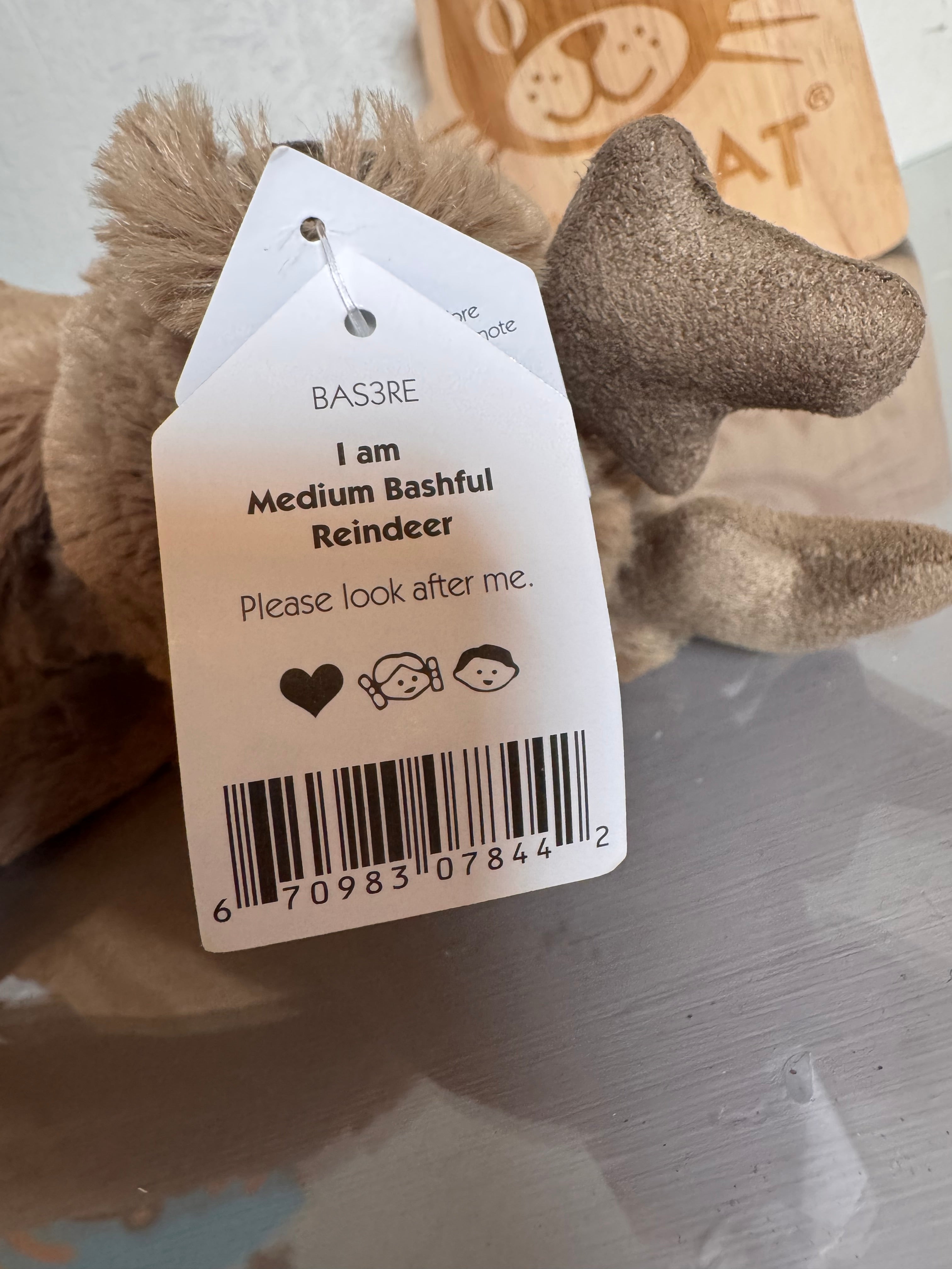 Medium Bashful Reindeer