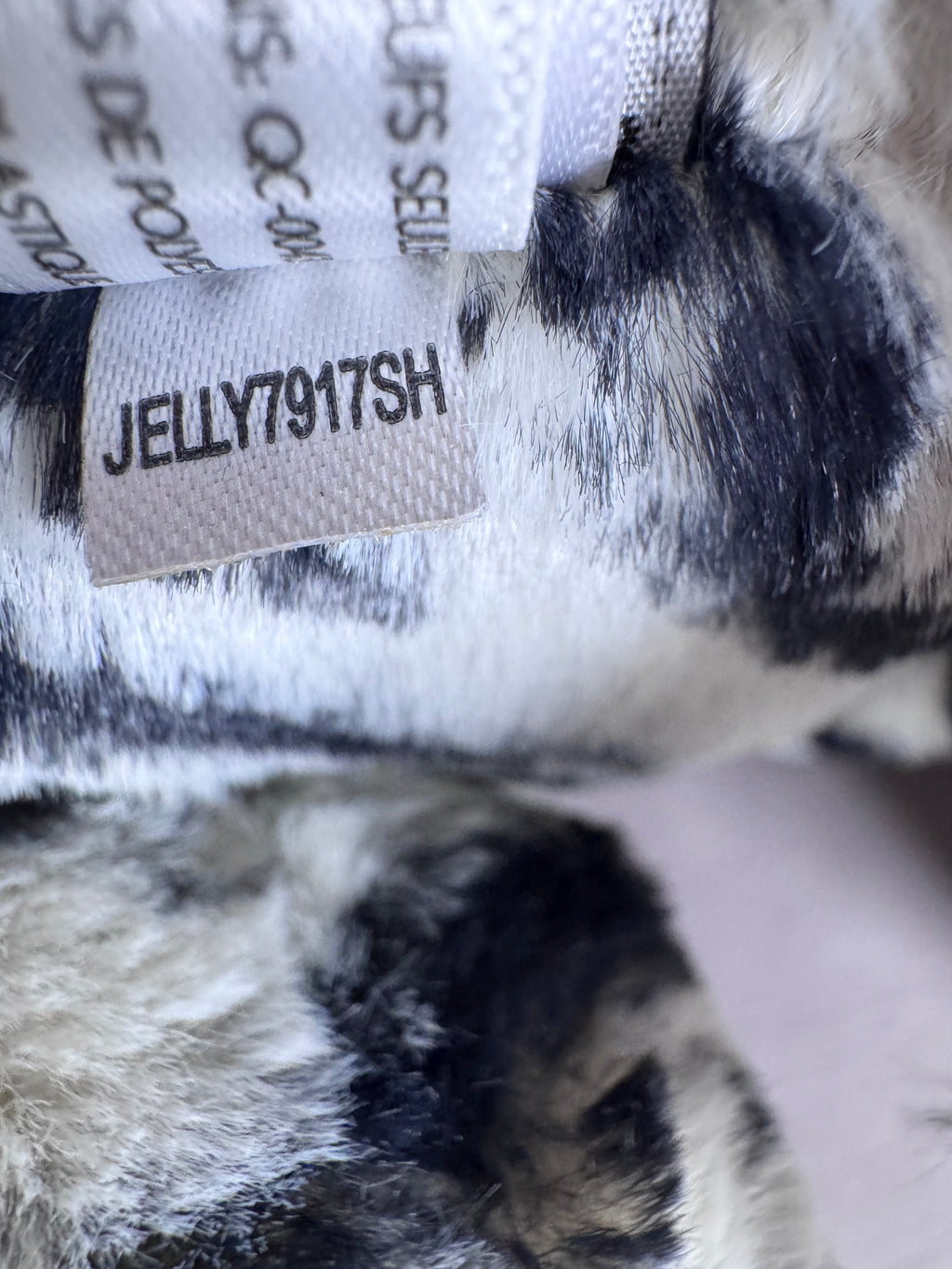 Medium Bashful Zebra