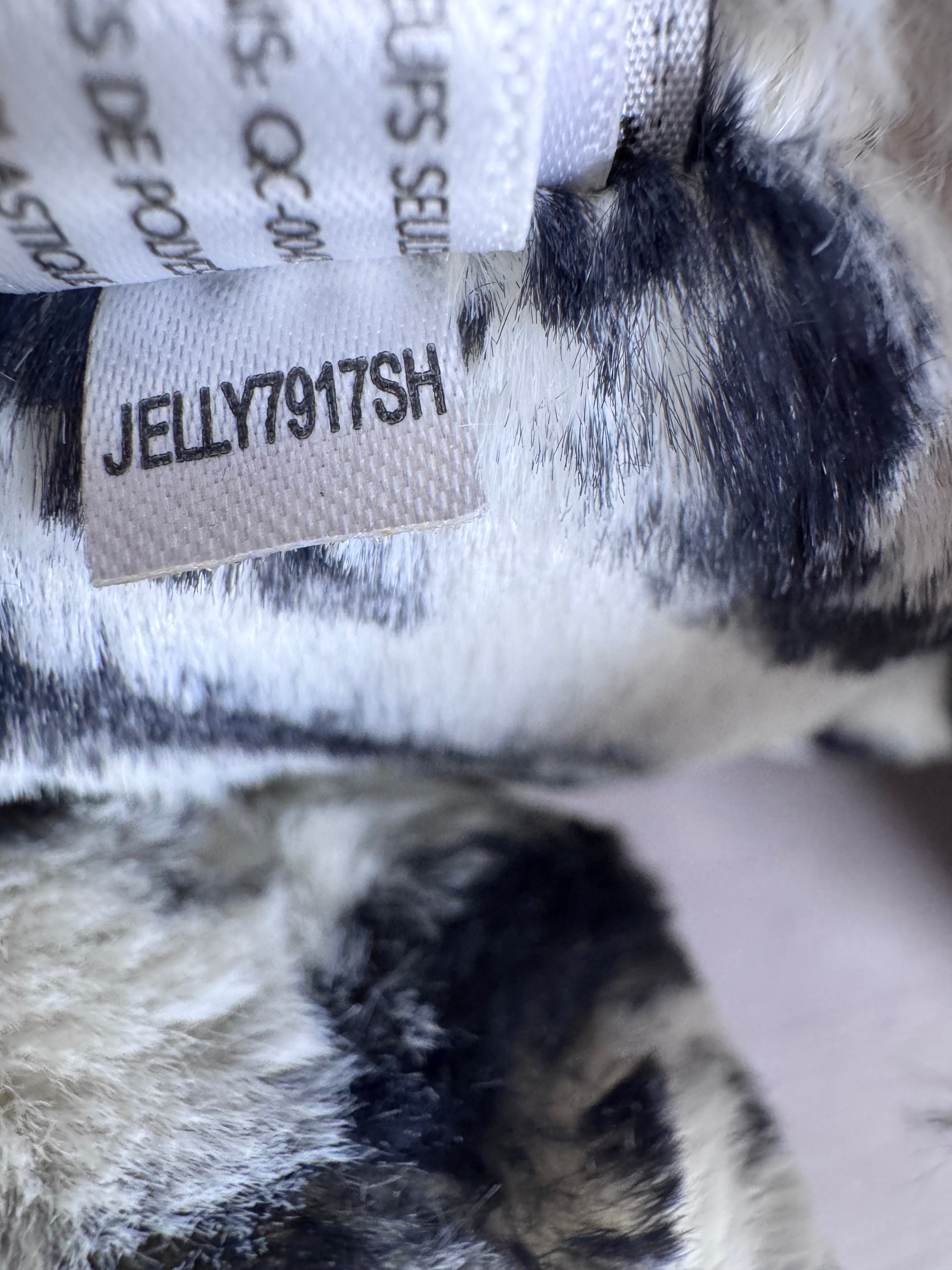 Medium Bashful Zebra