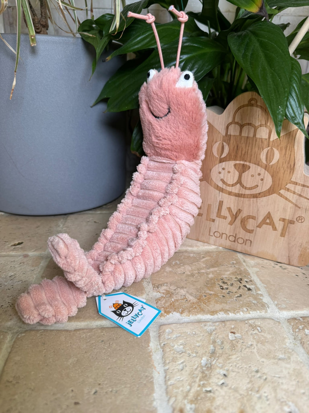 Jellycat Sheldon Shrimp
