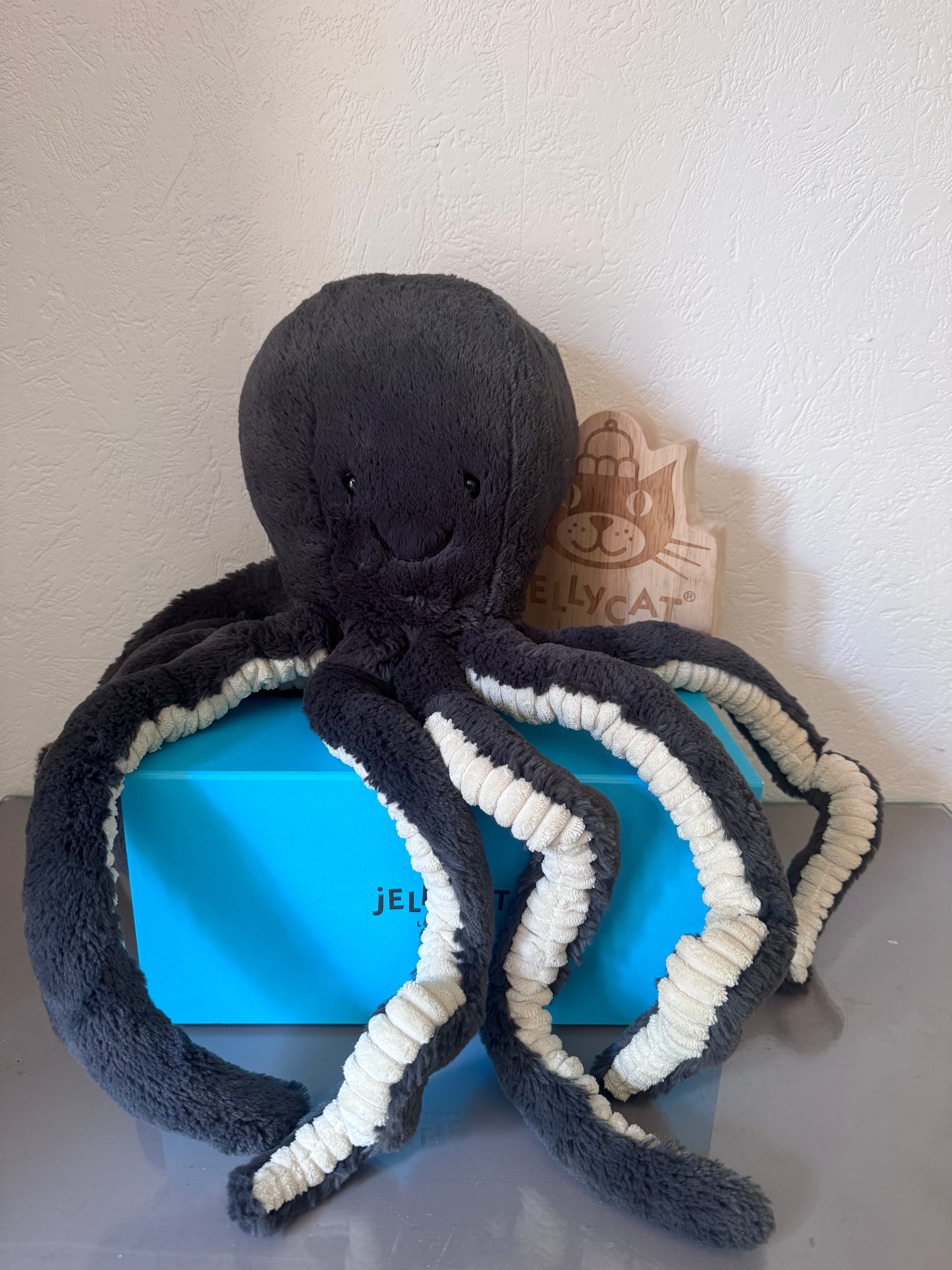 Inky Octopus