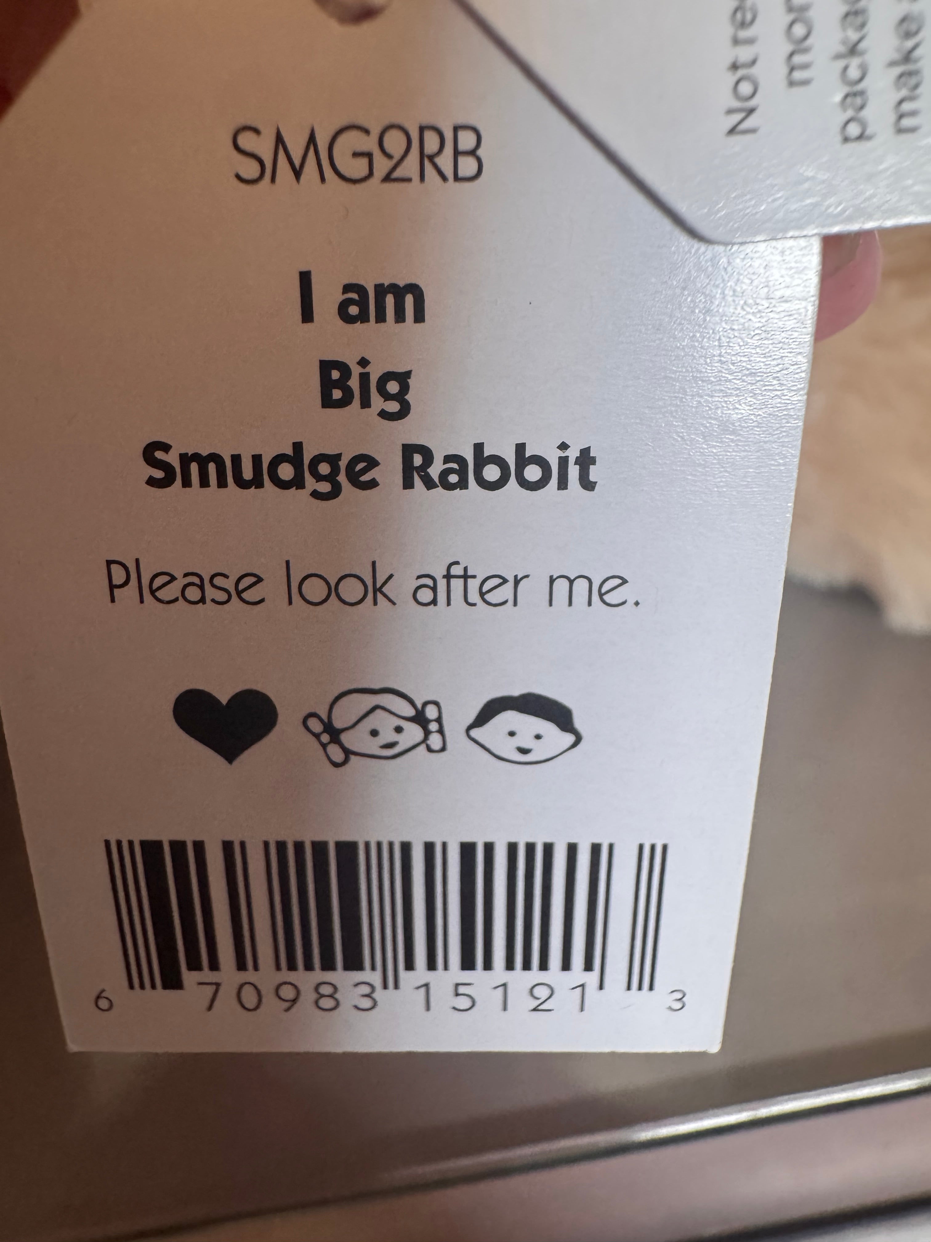 Huge Smudge Rabbit