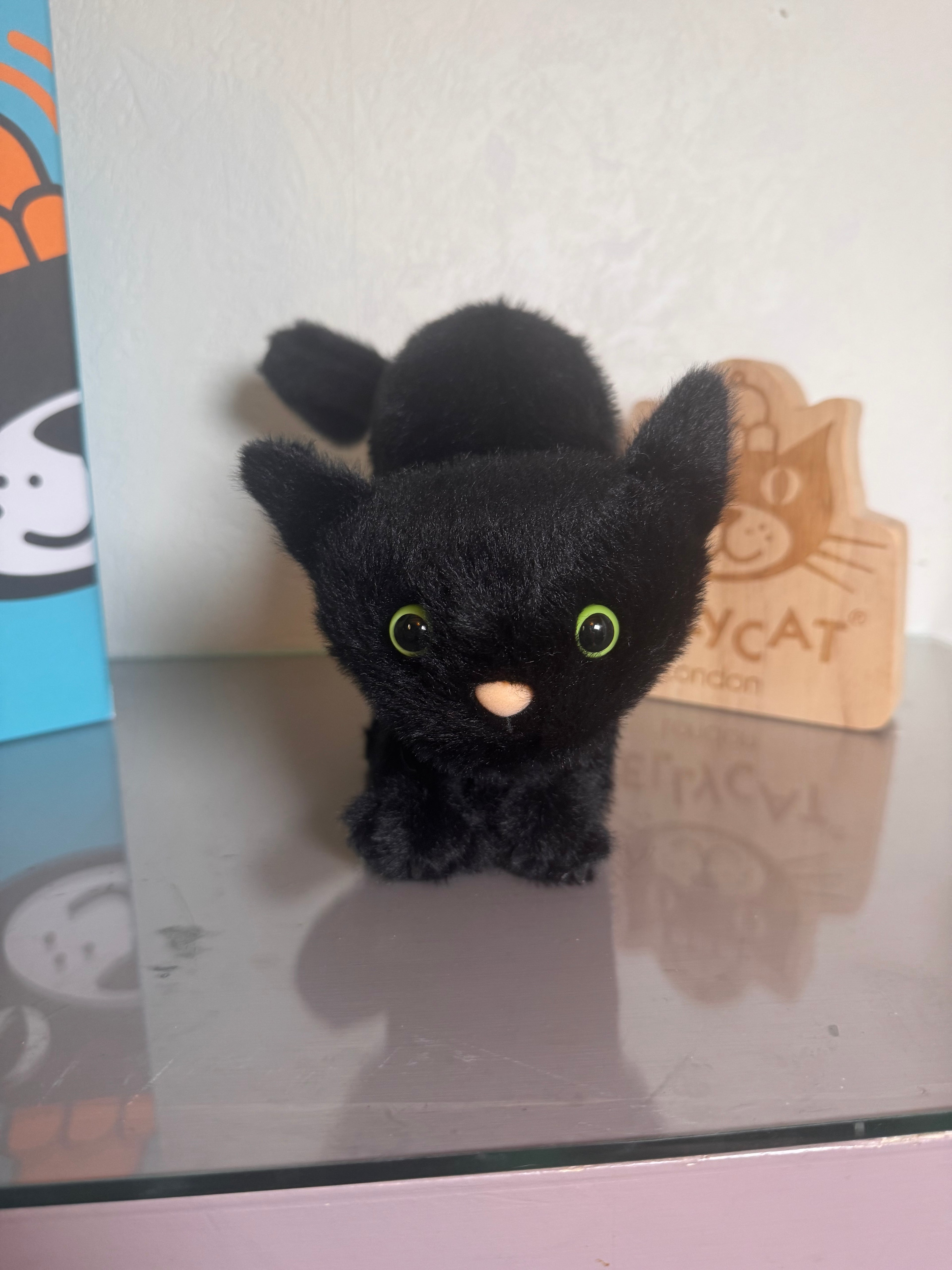 Spookipaws Cat