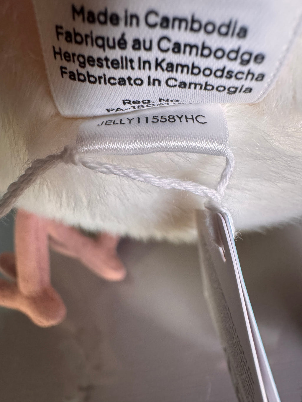 Chip Seagull