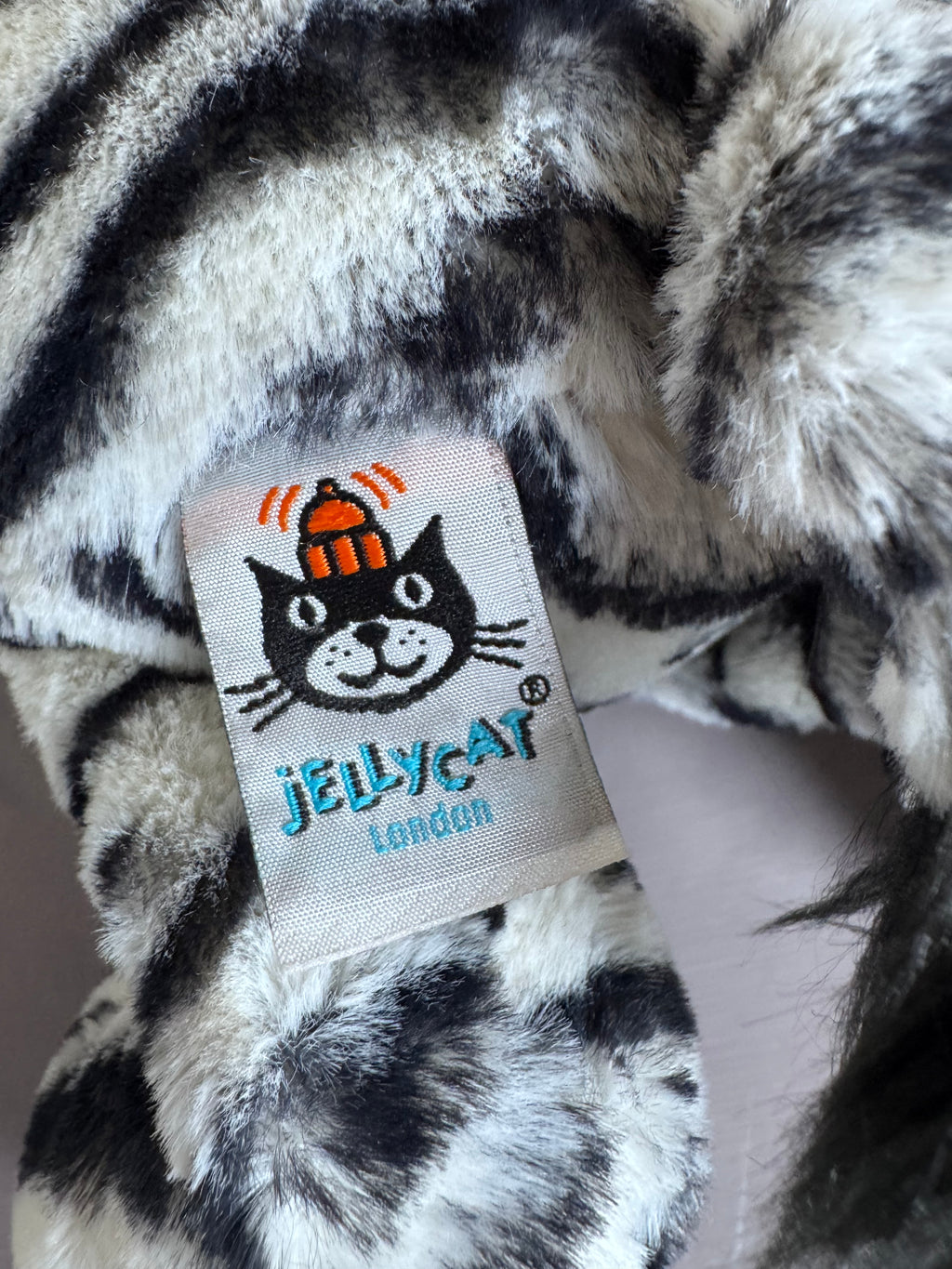 Medium Bashful Zebra