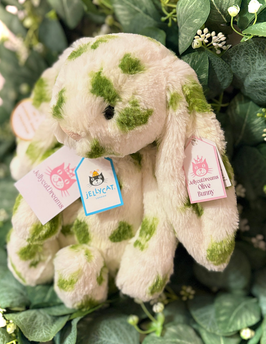 JellycatDreams Custom Olive Bunny