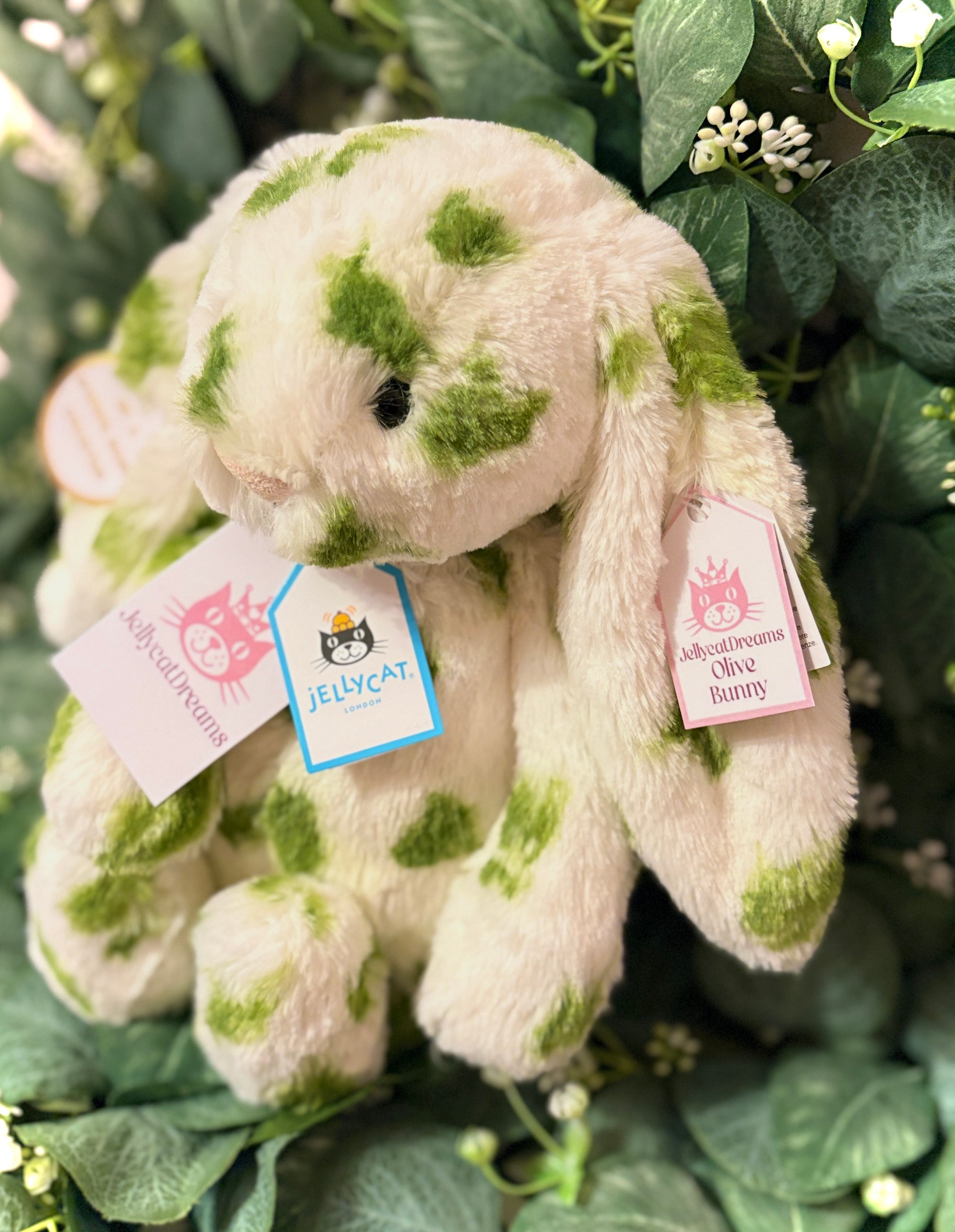 JellycatDreams Custom Olive Bunny