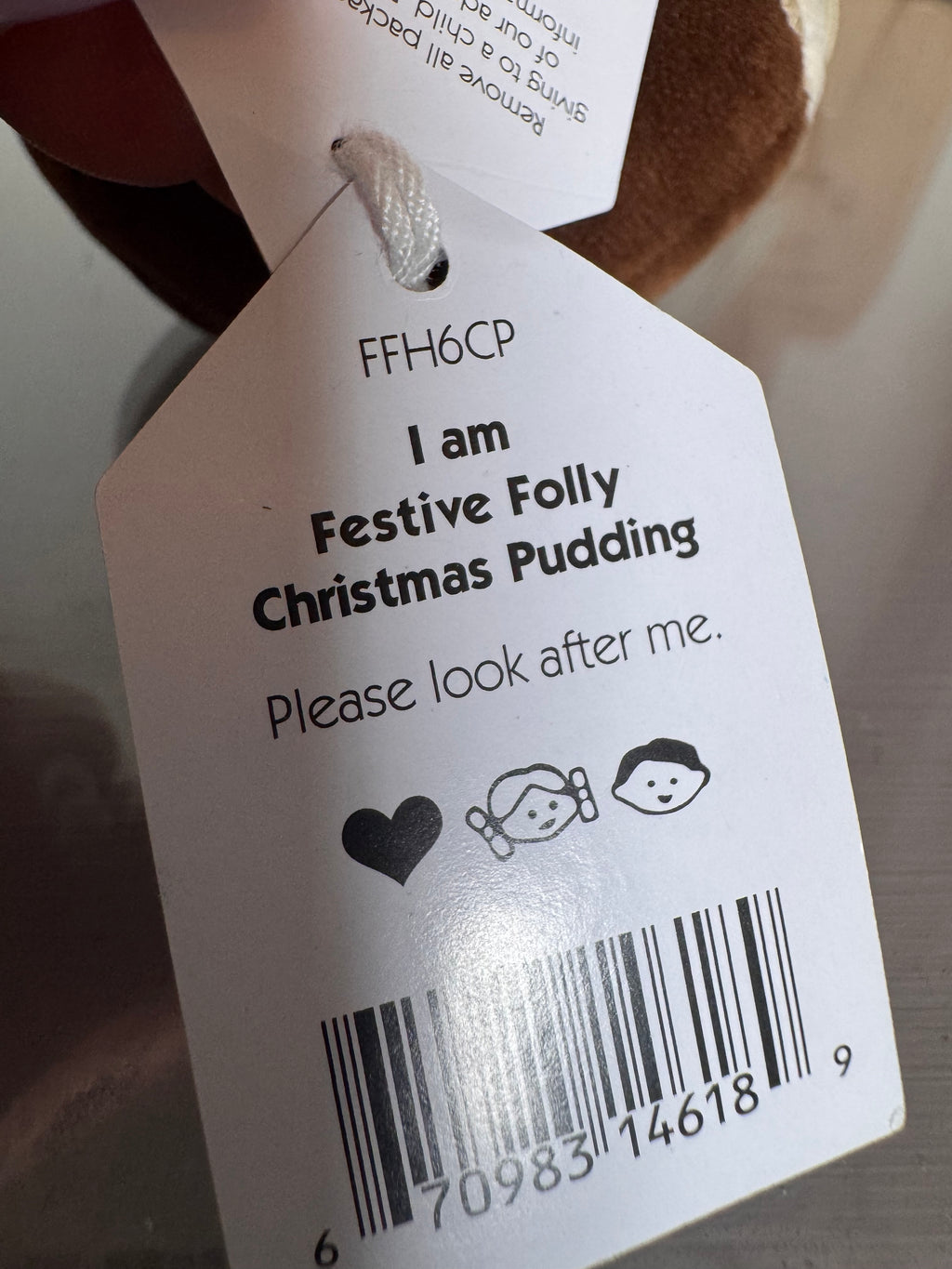 Festive Folly Christmas Pudding