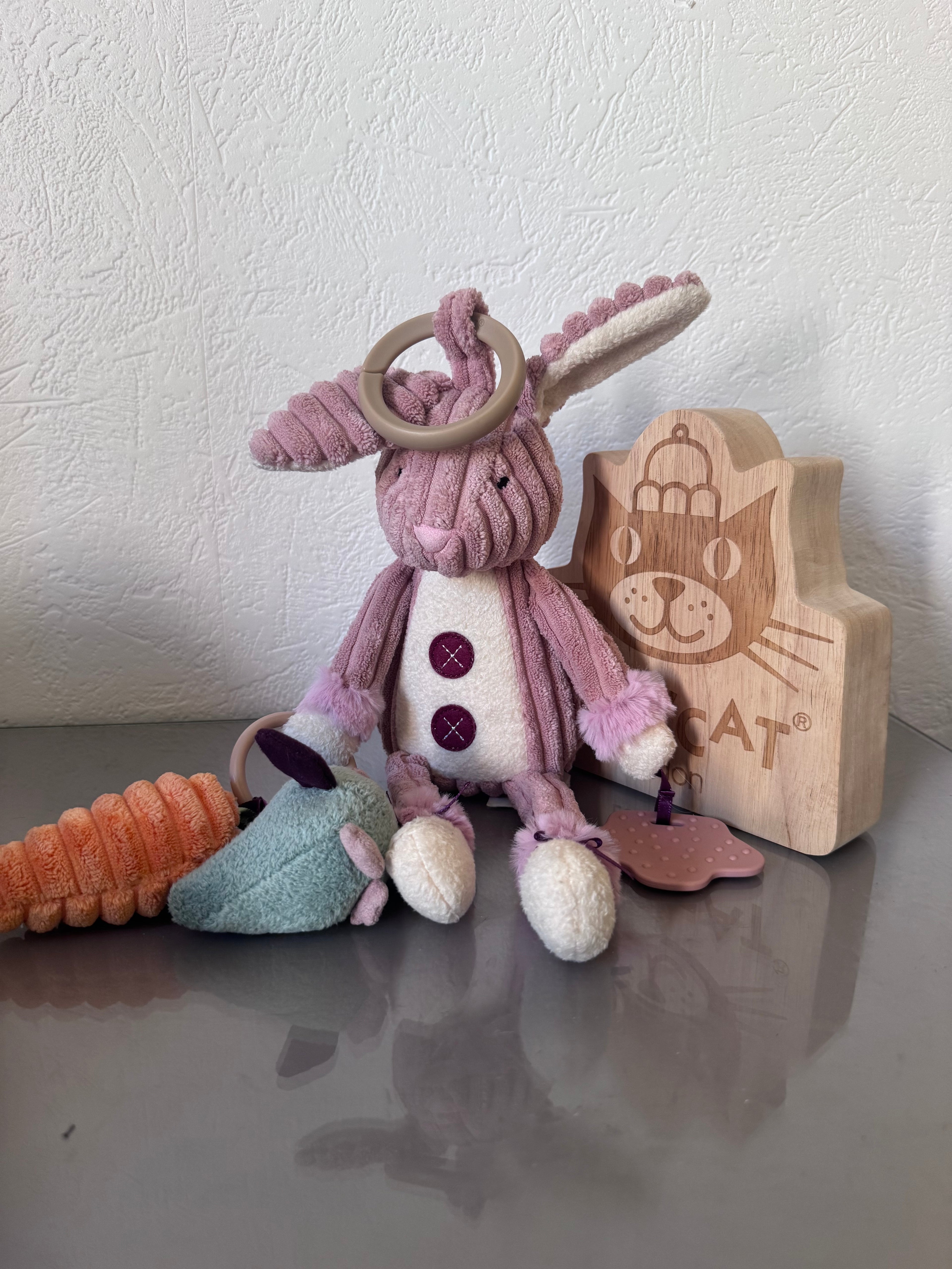 Cordy Roy Bunny Activity Toy