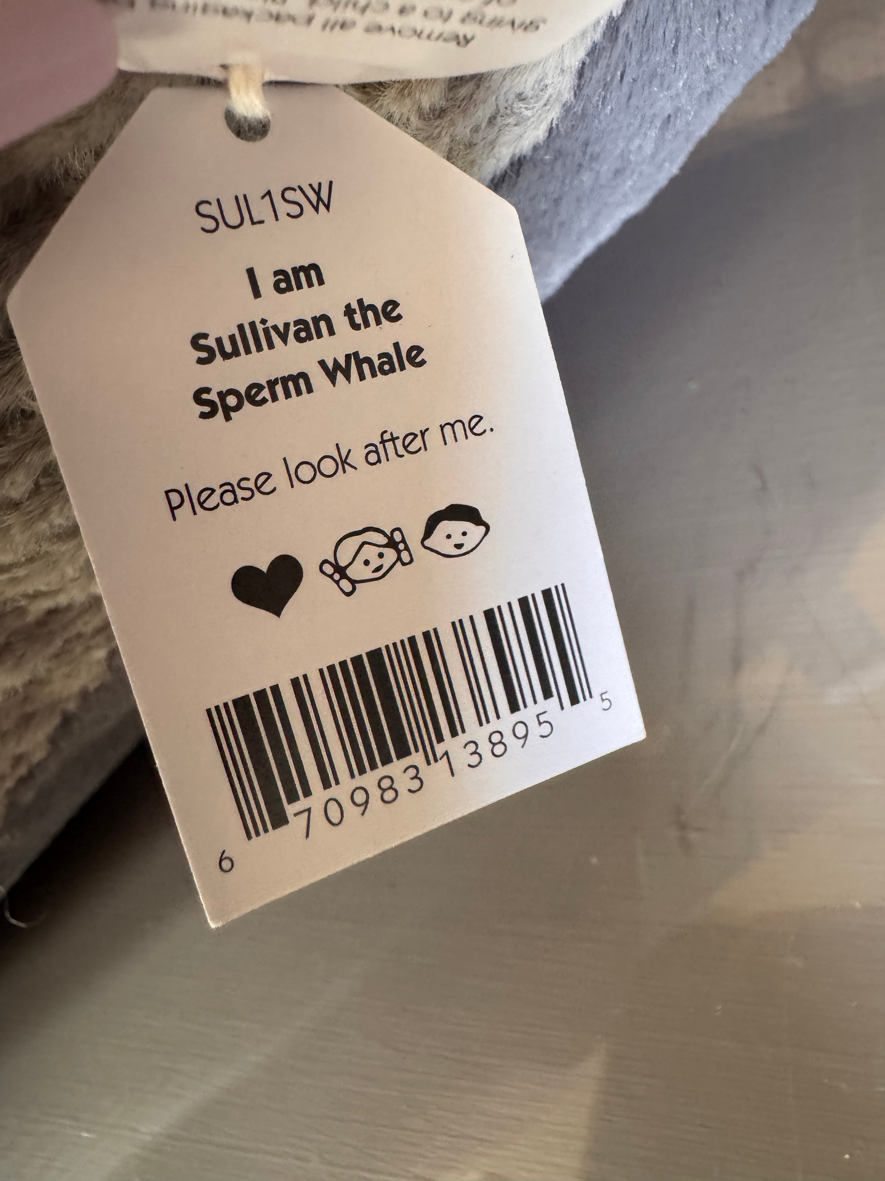 Sullivan the Sperm Whale
