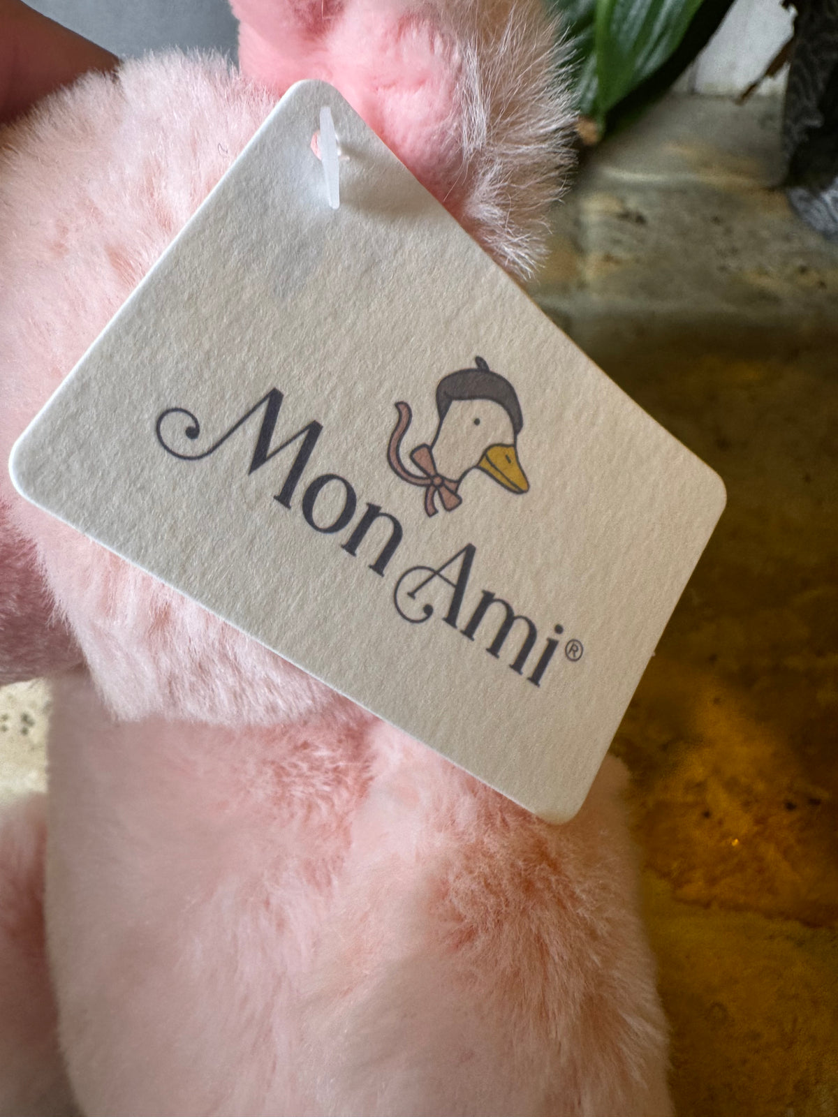 Mon Ami | Penelope Petit Pig