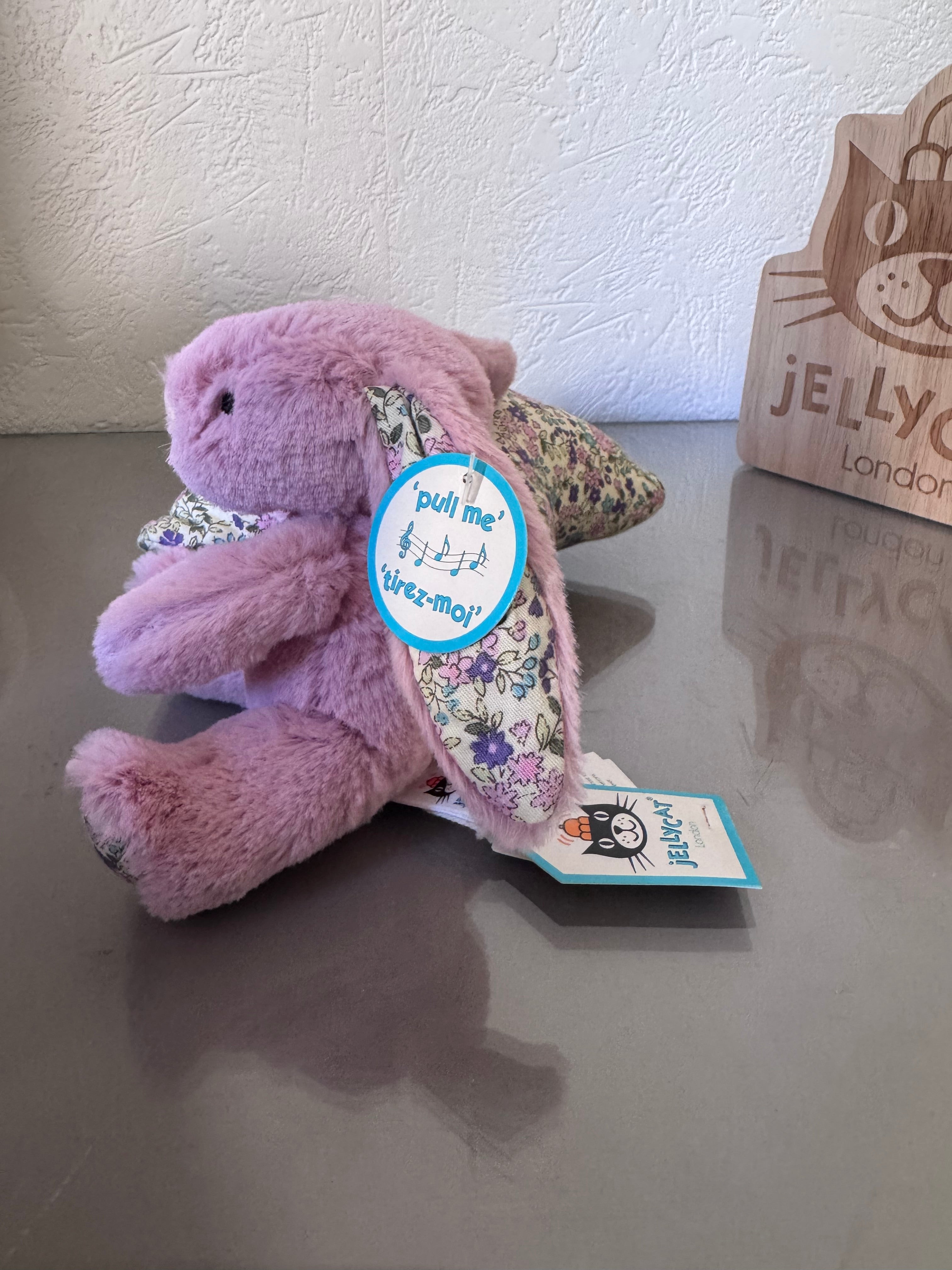 Blossom Tulip Bunny Star Musical Pull